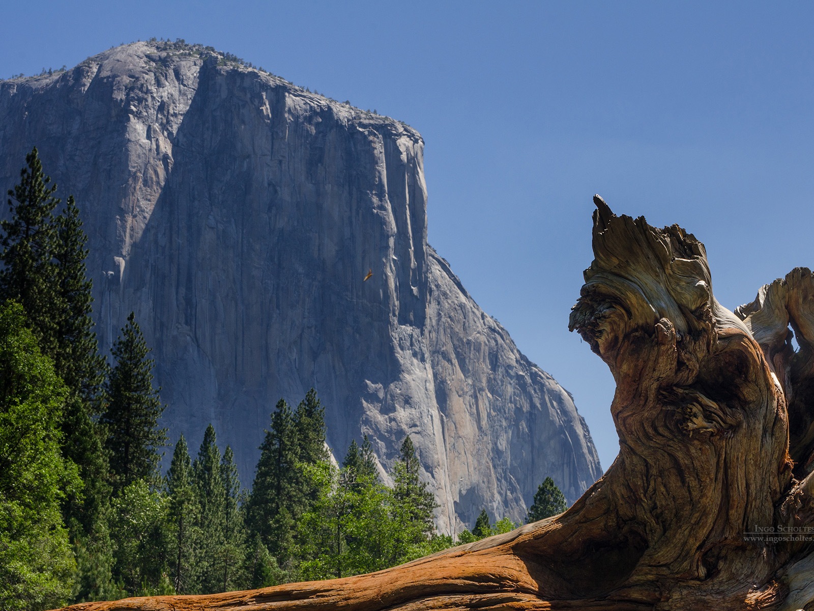 Windows 8 theme, Yosemite National Park HD wallpapers #10 - 1600x1200