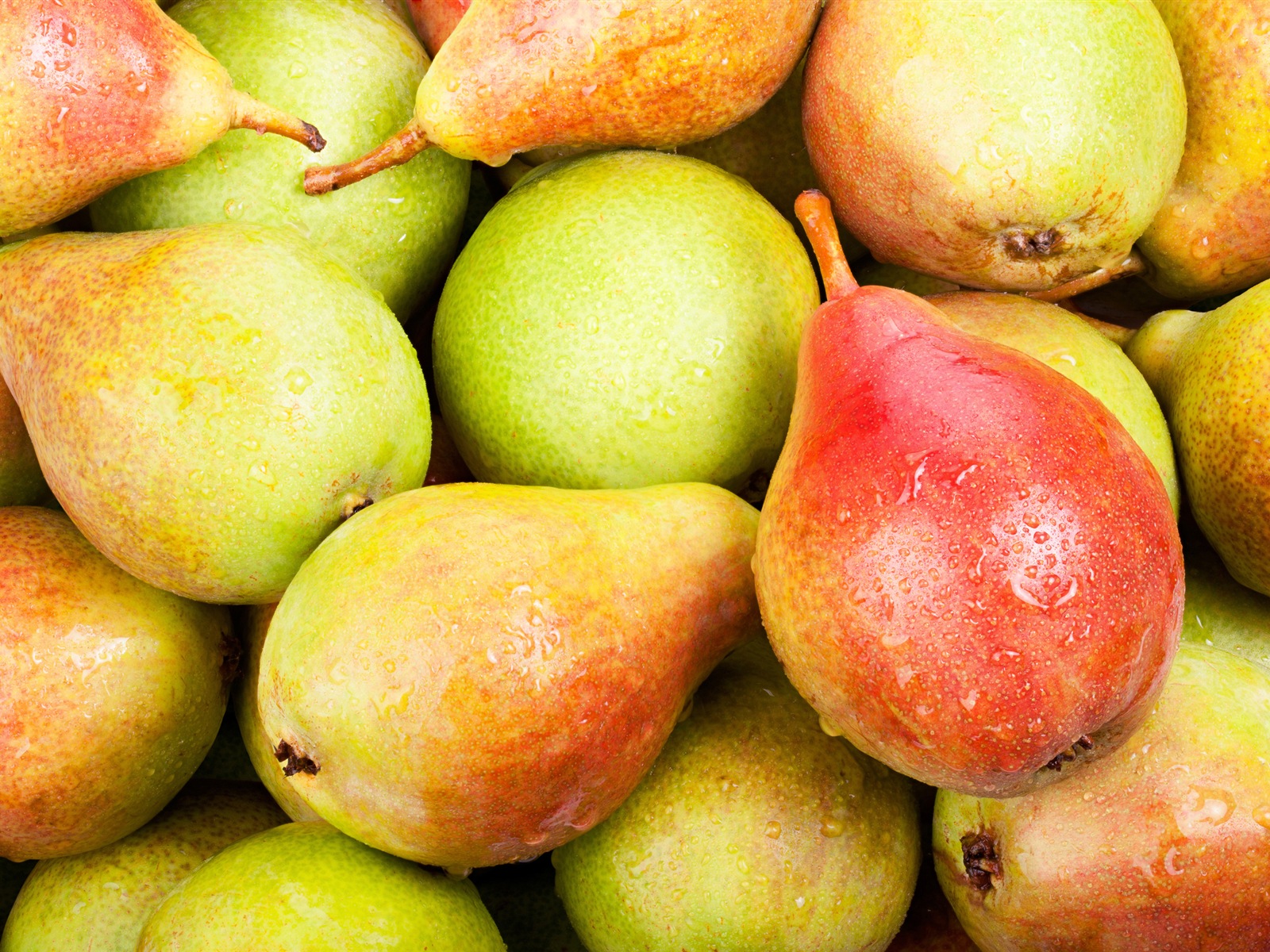 Succulent fruits, poires close-up fonds d'écran HD #2 - 1600x1200