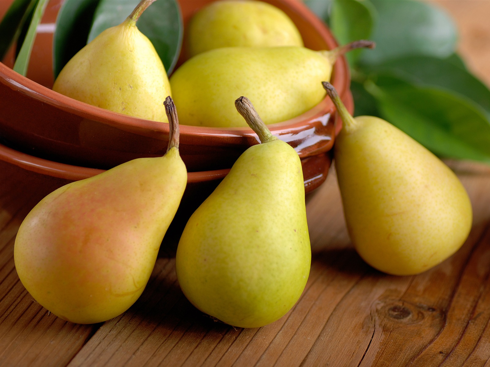 Succulent fruit, pears close-up HD wallpapers #3 - 1600x1200