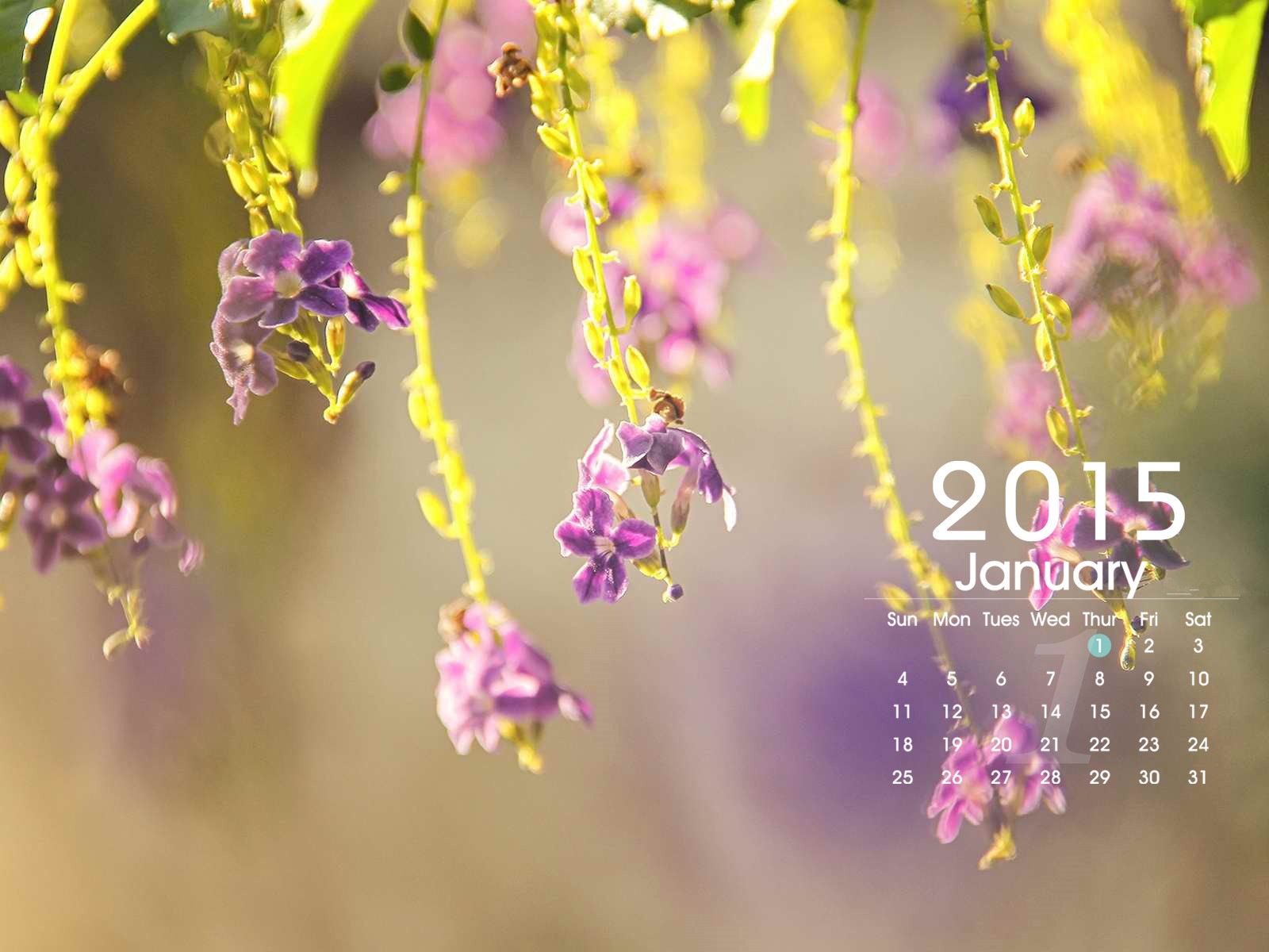 January 2015 calendar wallpaper (1) #1 - 1600x1200