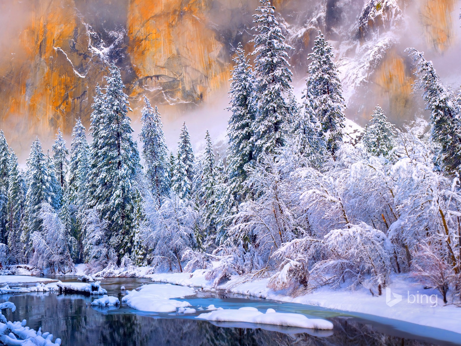 Januar 2015 Bing HD Wallpaper #1 - 1600x1200