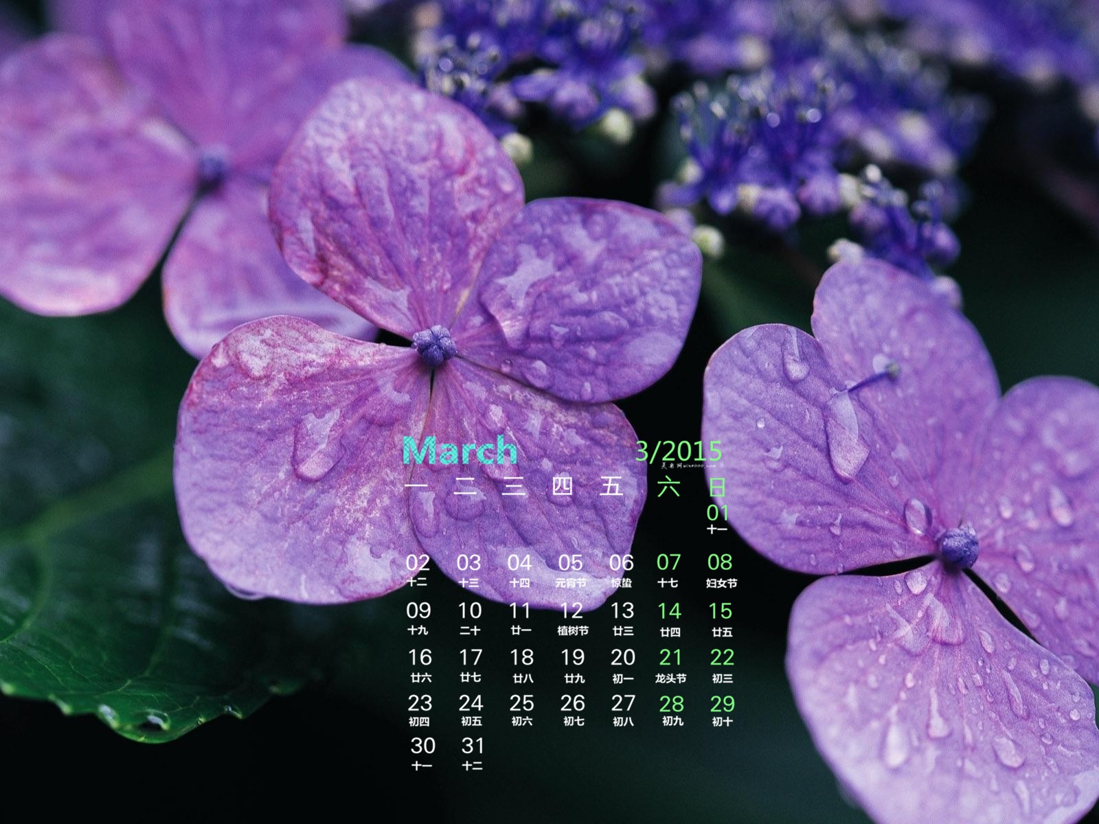 Март 2015 Календарь обои (1) #5 - 1600x1200