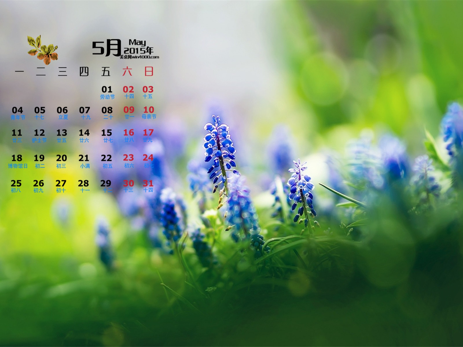 Май 2015 календарный обои (1) #16 - 1600x1200