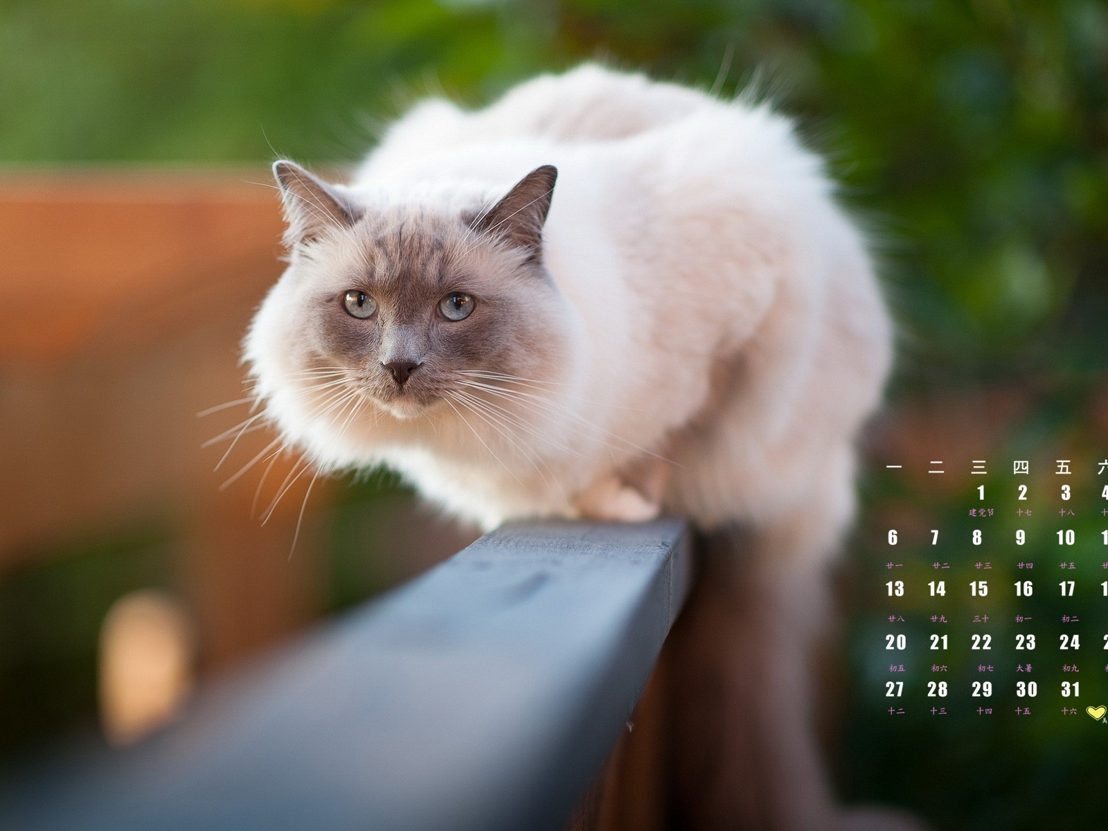 July 2015 calendar wallpaper (1) #1 - 1600x1200