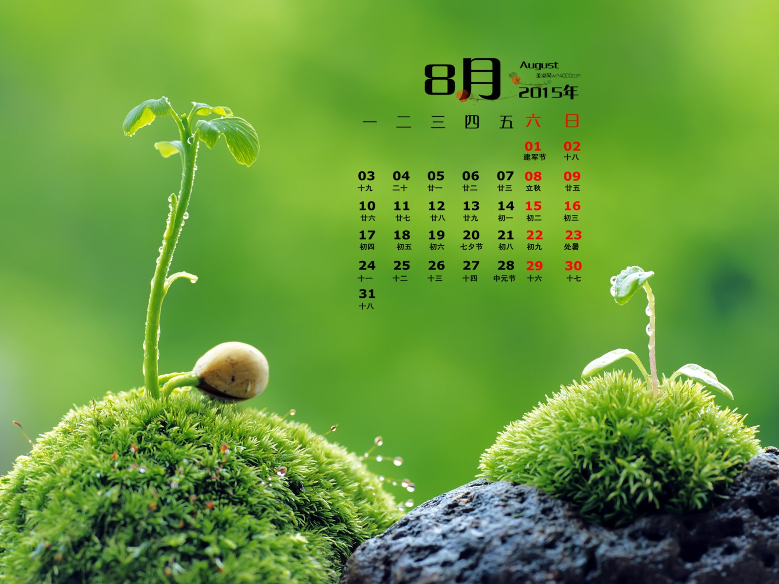 2015년 8월 캘린더 벽지 (1) #16 - 1600x1200