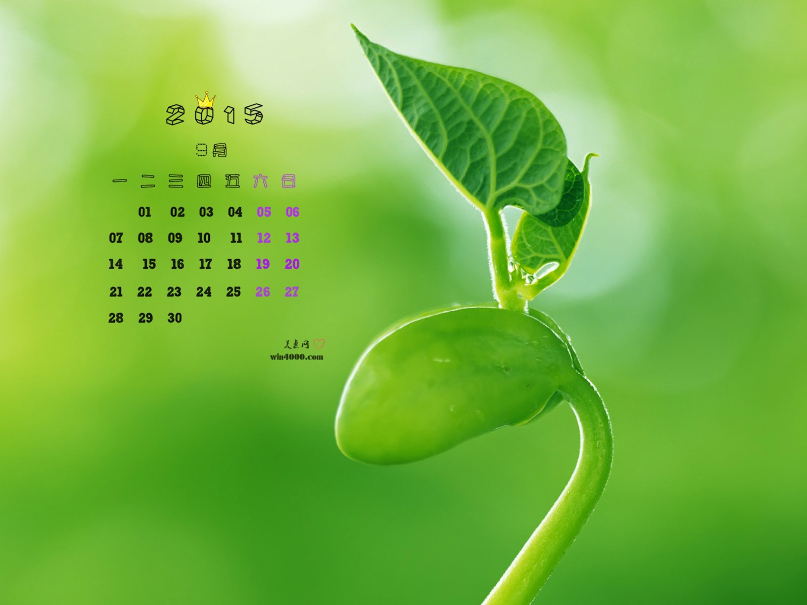 Září 2015 kalendář tapety (1) #5 - 1600x1200