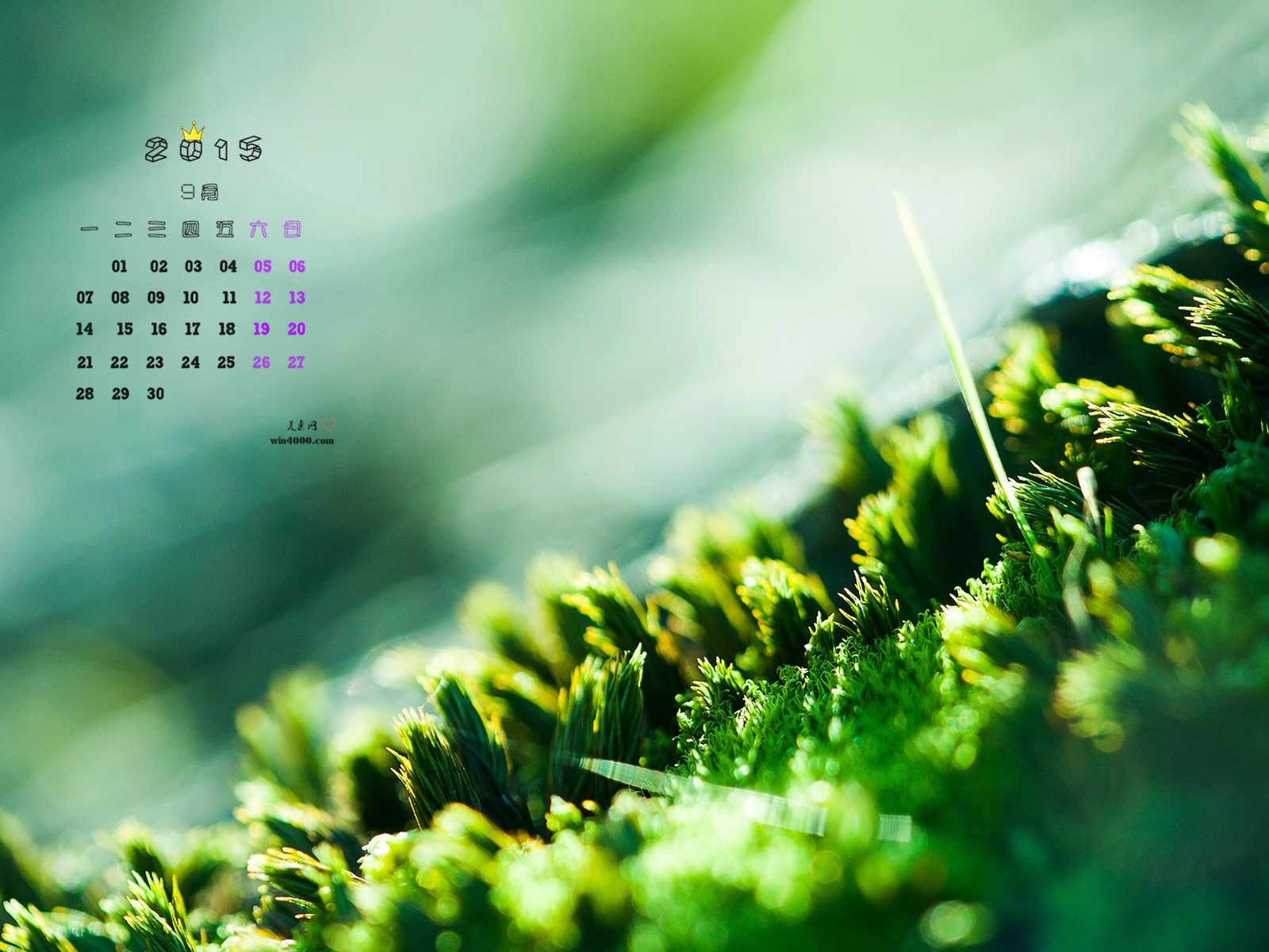 September 2015 calendar wallpaper (1) #7 - 1600x1200