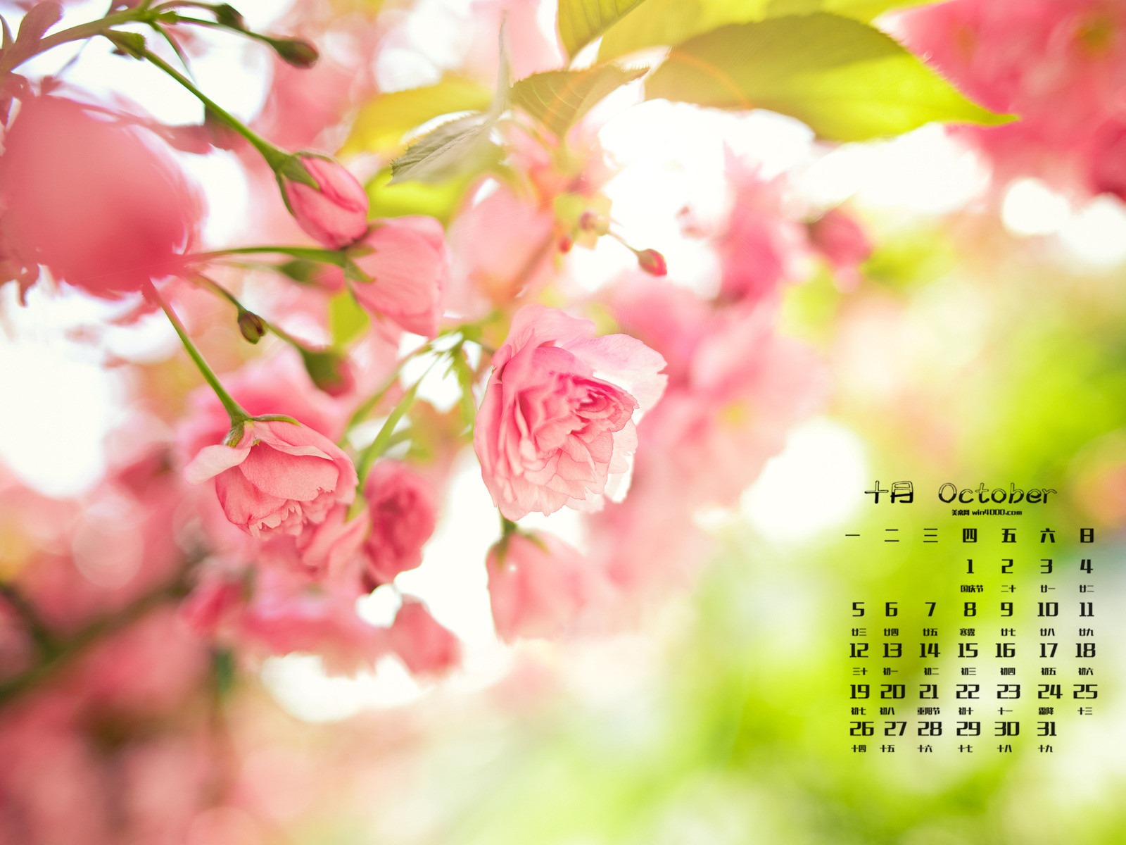 Října 2015 kalendář tapety (1) #9 - 1600x1200