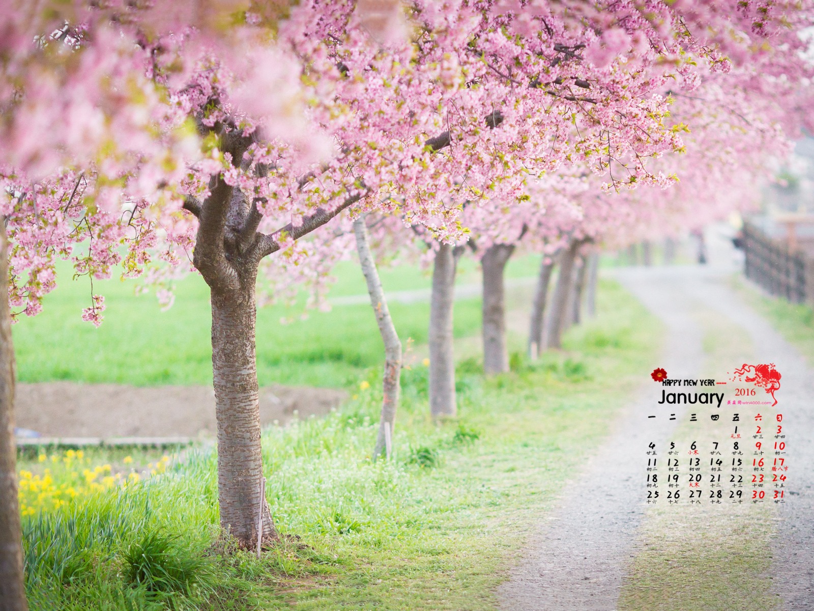 January 2016 calendar wallpaper (1) #7 - 1600x1200