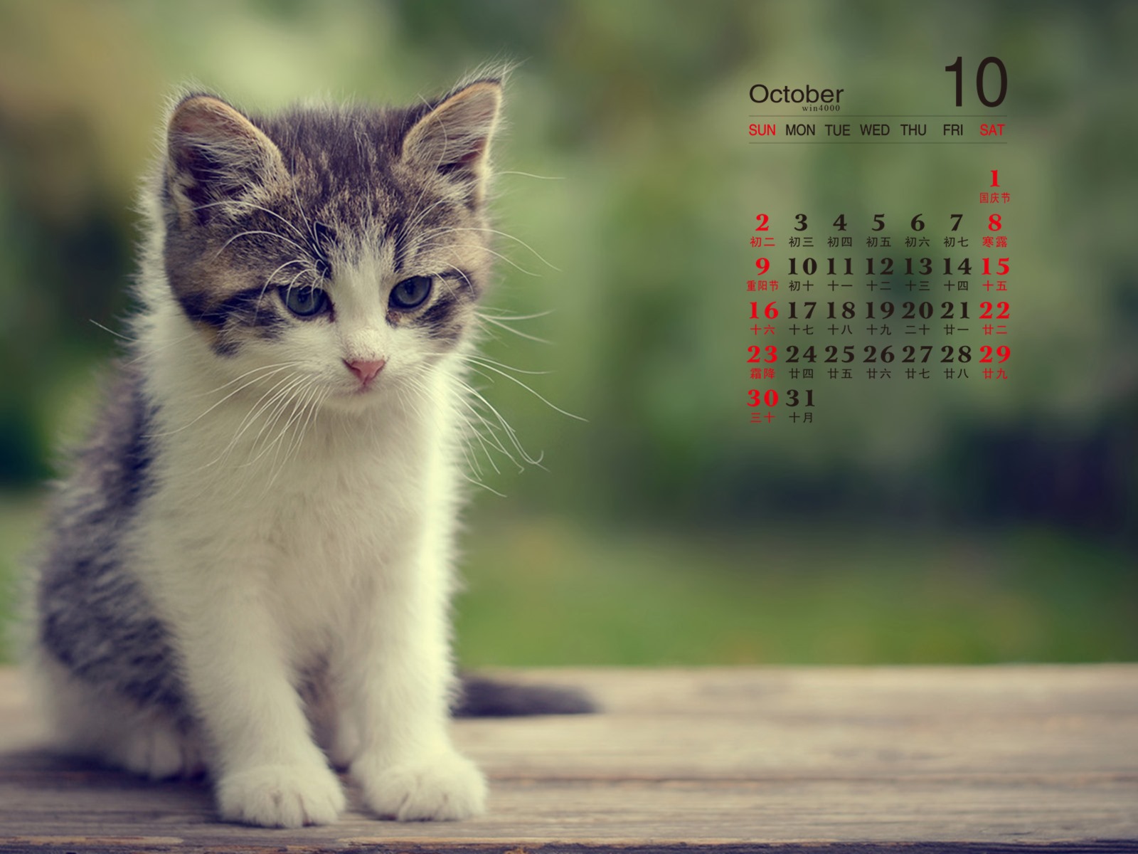 De octubre de el año 2016 fondo de pantalla de calendario (1) #8 - 1600x1200