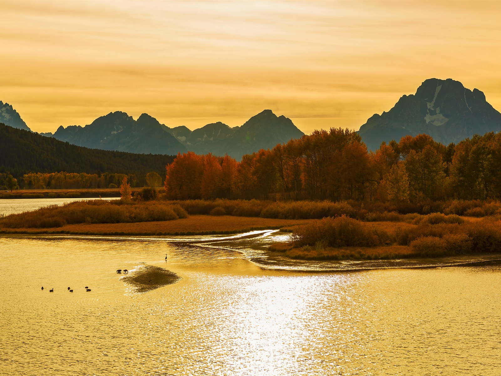 미국 그랜드 Teton 국립 공원 자연 풍경의 HD 월페이퍼 #12 - 1600x1200