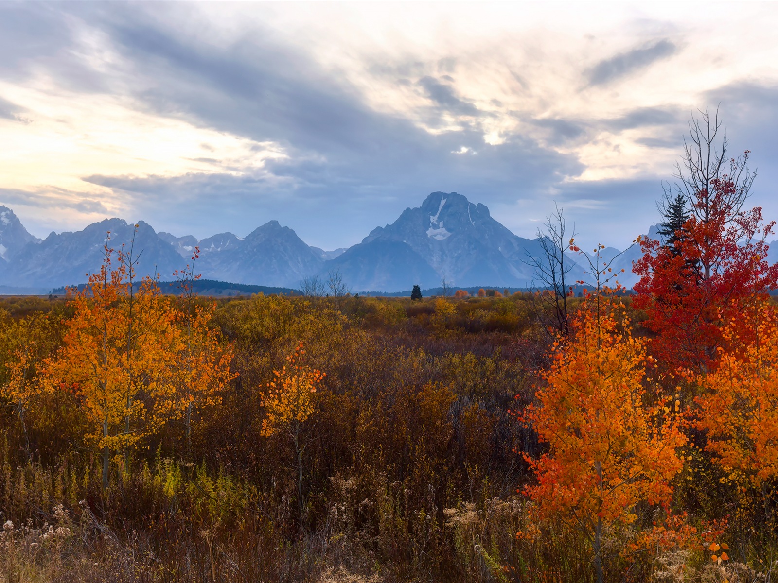 미국 그랜드 Teton 국립 공원 자연 풍경의 HD 월페이퍼 #17 - 1600x1200