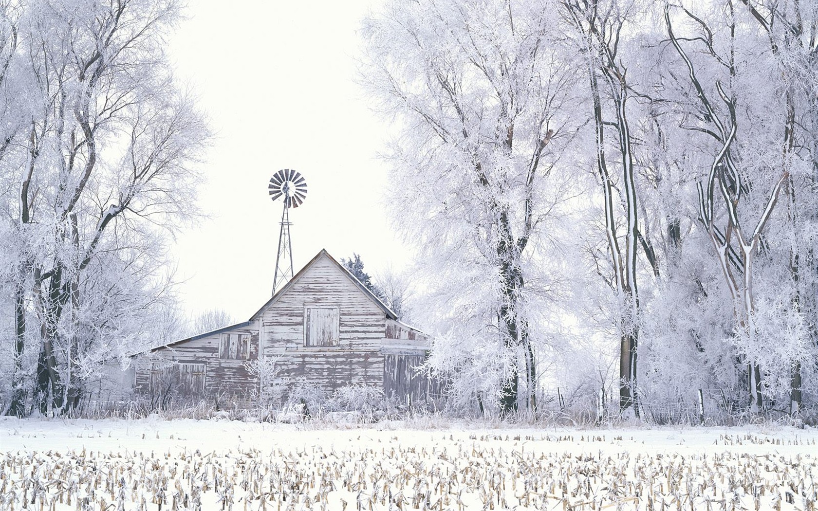 forêt, la neige fond d'écran (3) #18 - 1680x1050