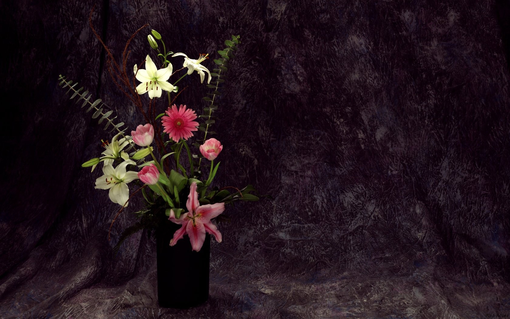室内の花の壁紙(2) #19 - 1680x1050