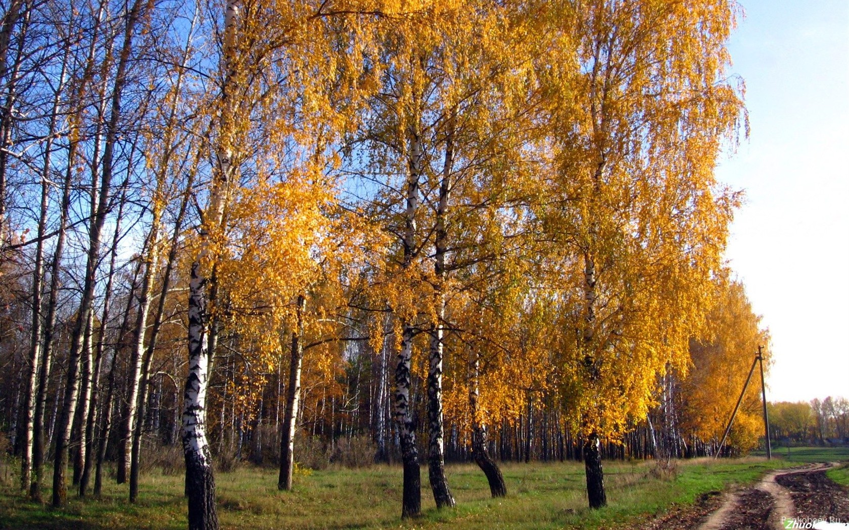 Красивый природный ландшафт в Сибири #21 - 1680x1050