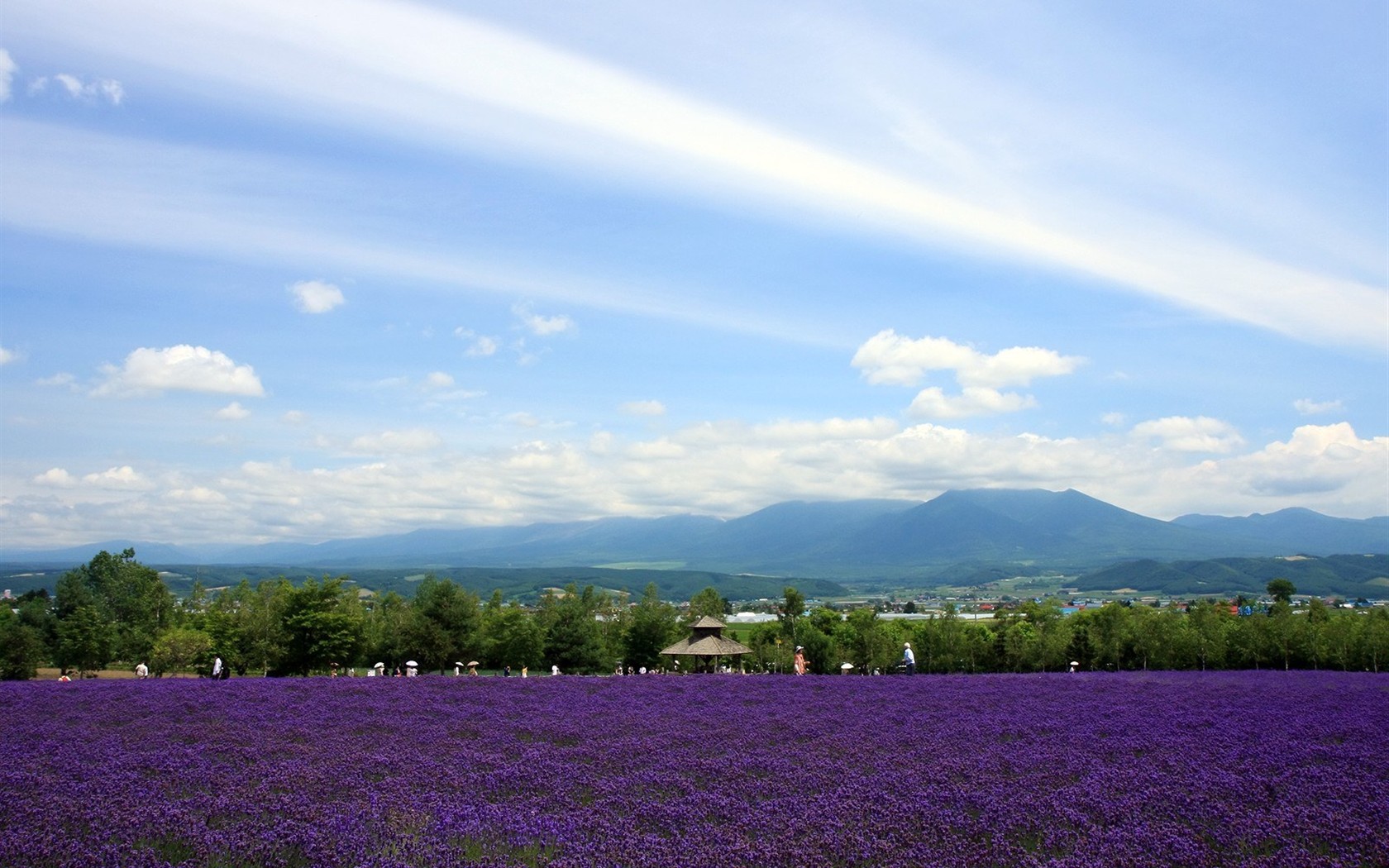paysage de campagne Hokkaido #3 - 1680x1050