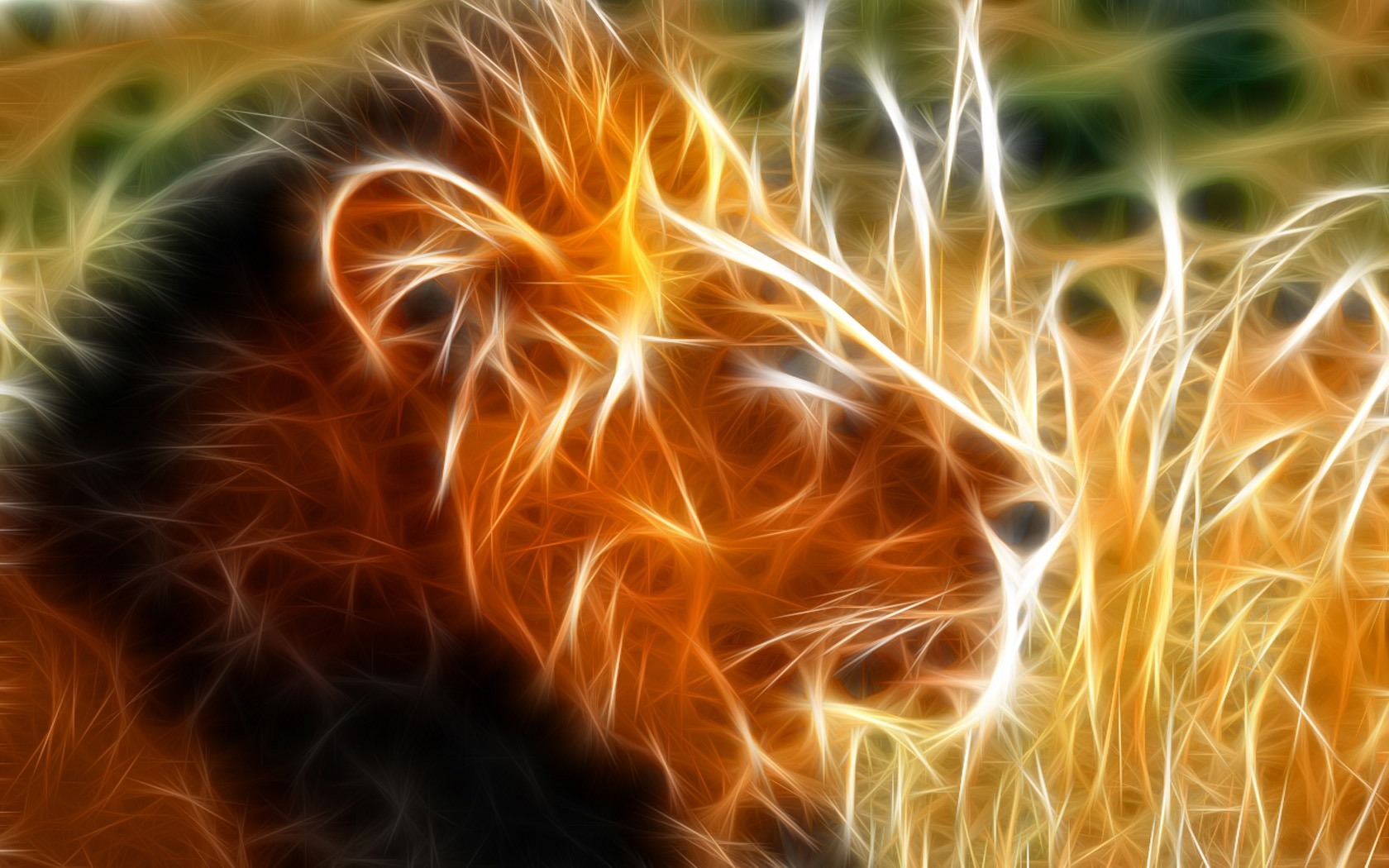 Cool animal wallpaper light #1 - 1680x1050