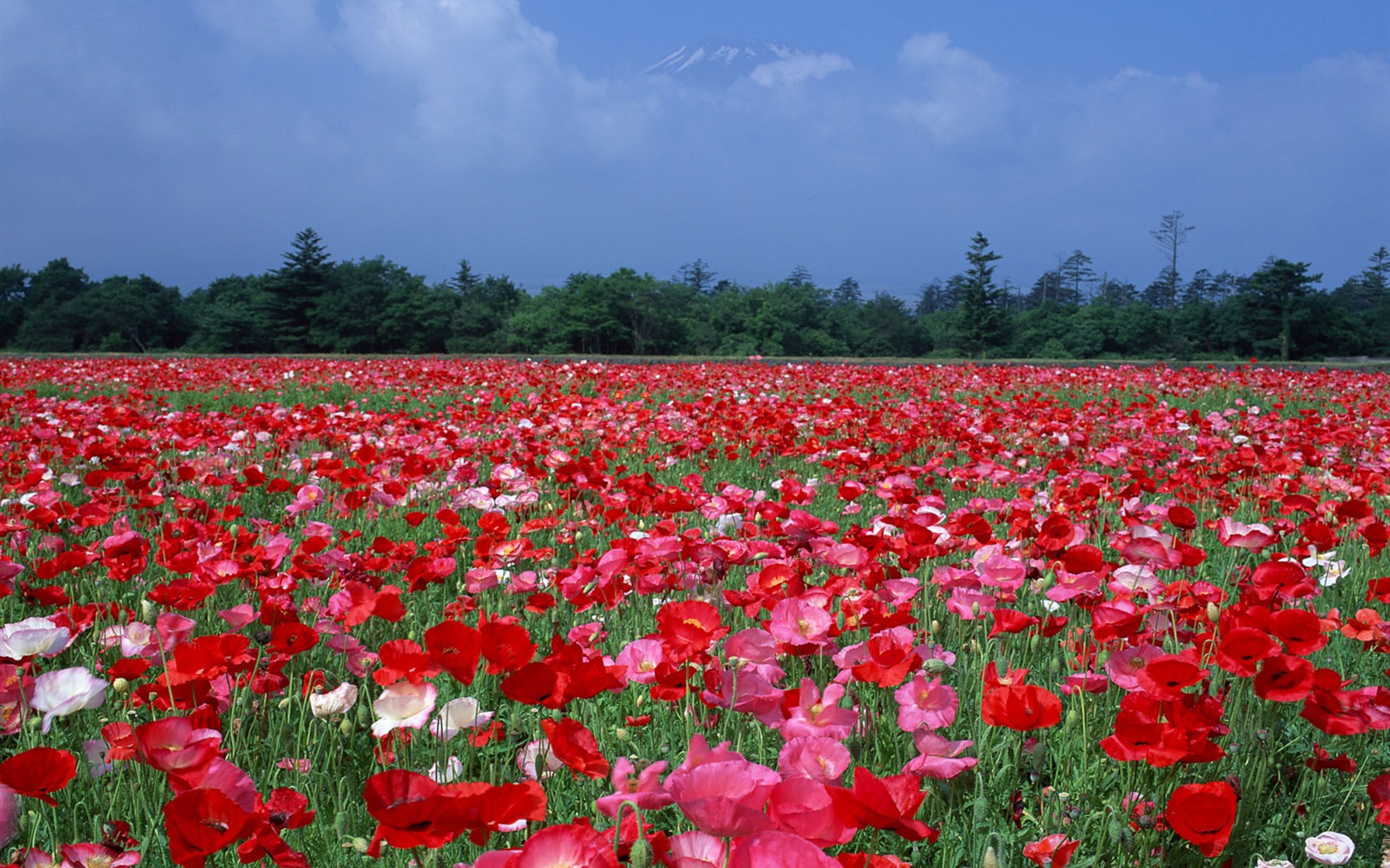 Fuji écran paysages Album #12 - 1680x1050