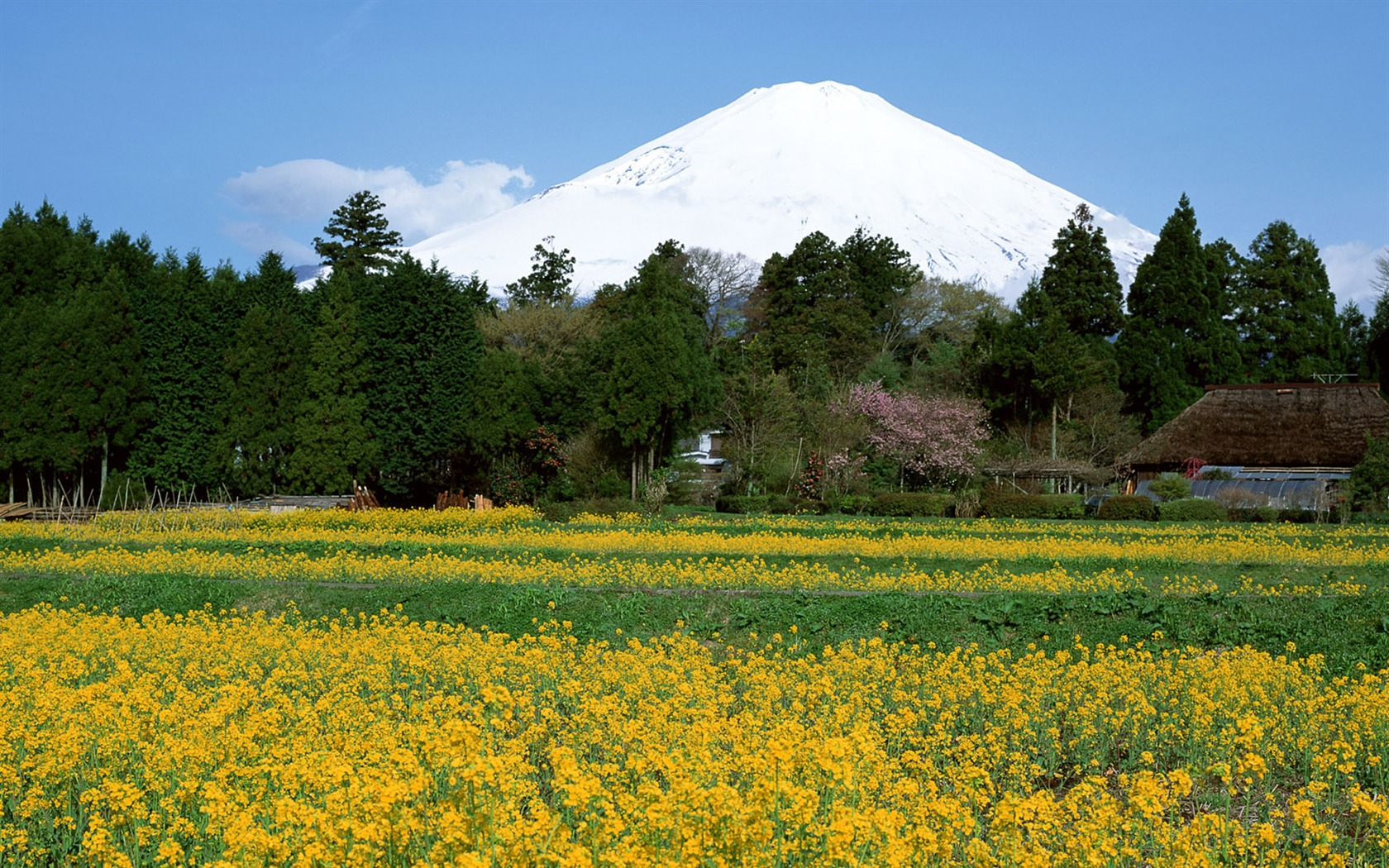 Fuji Krajina Tapety Album #36 - 1680x1050