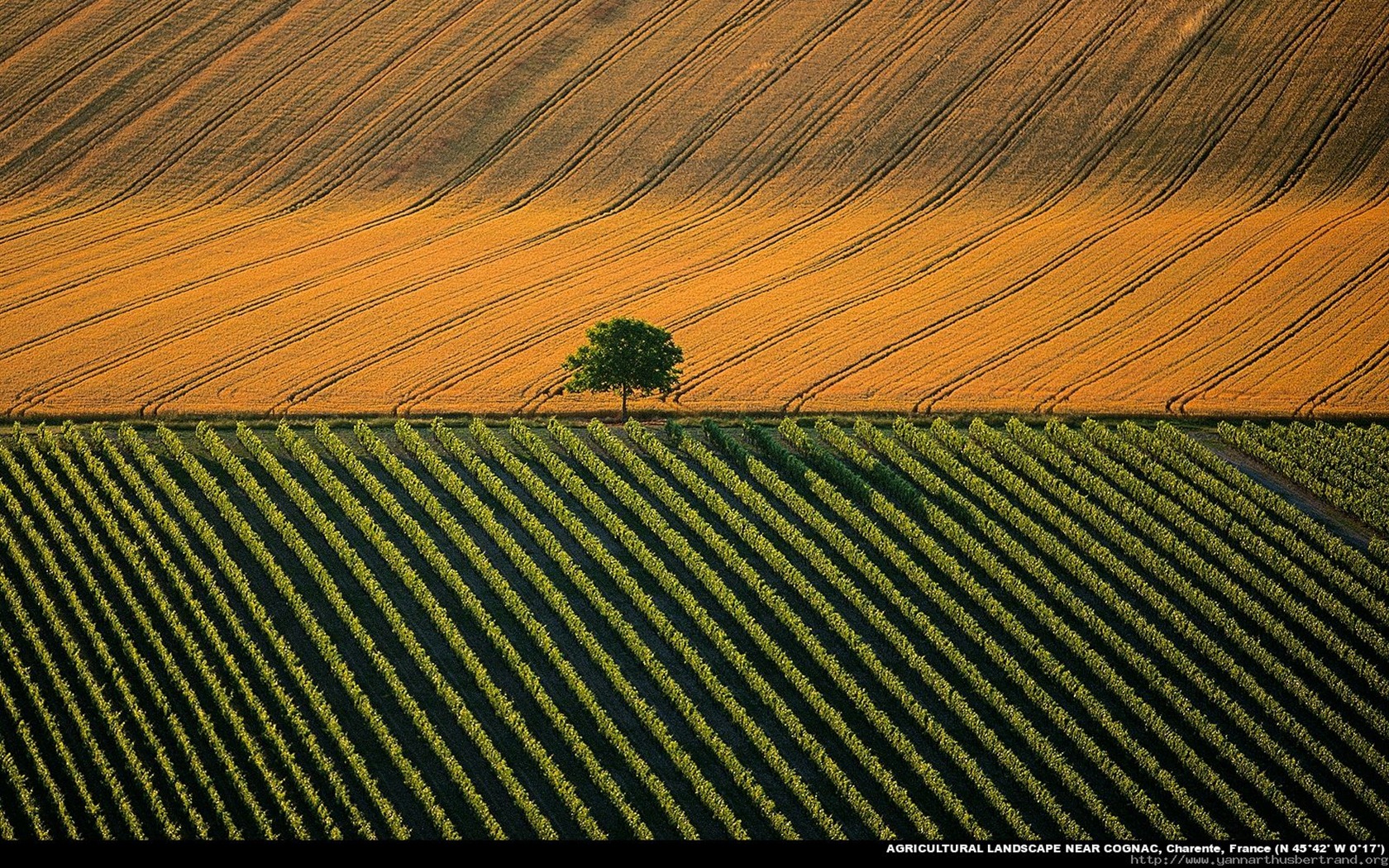 Letecké fotografie zázraky na plochu #17 - 1680x1050