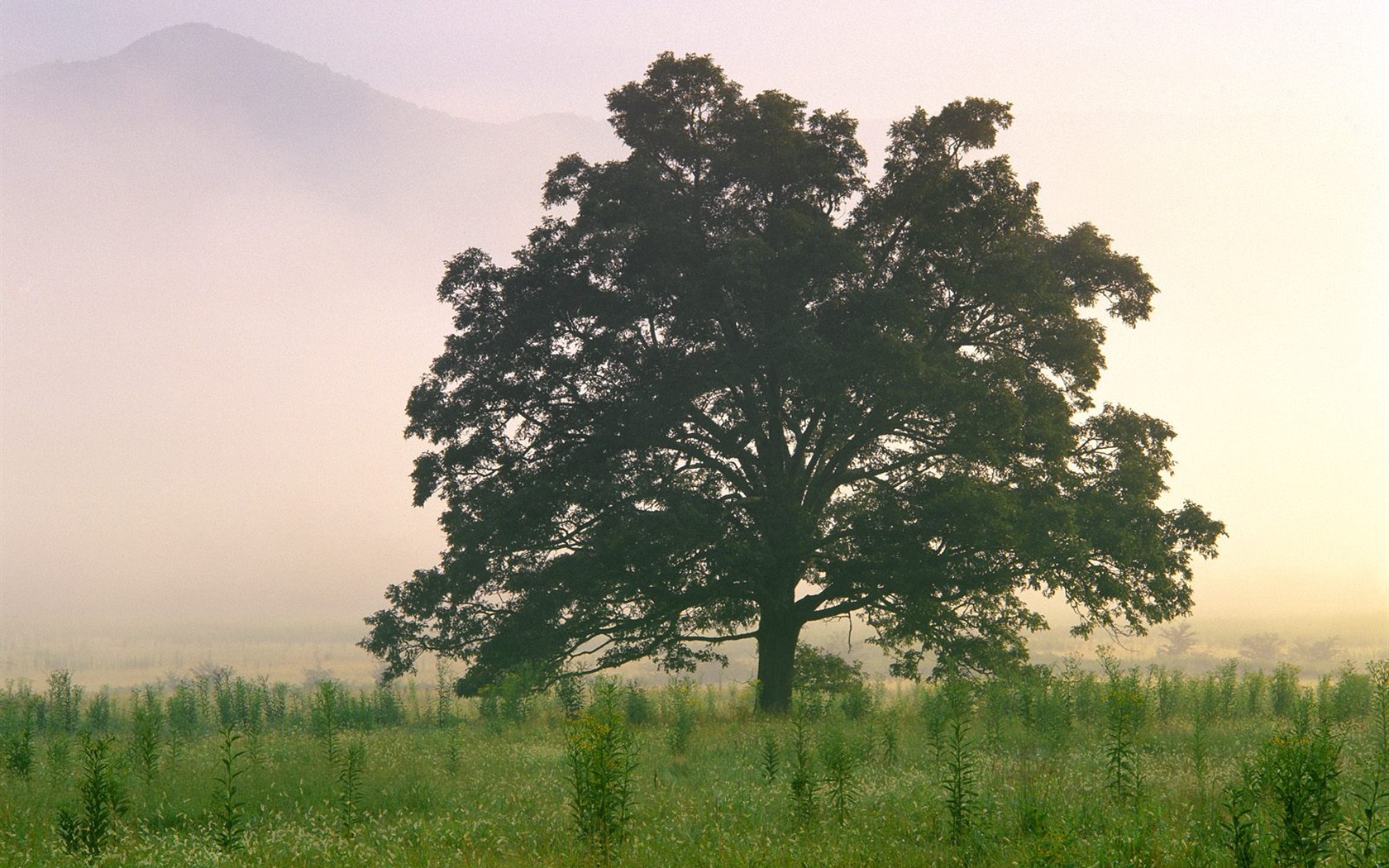 Webshots의 풍경 바탕 화면 (6) #5 - 1680x1050