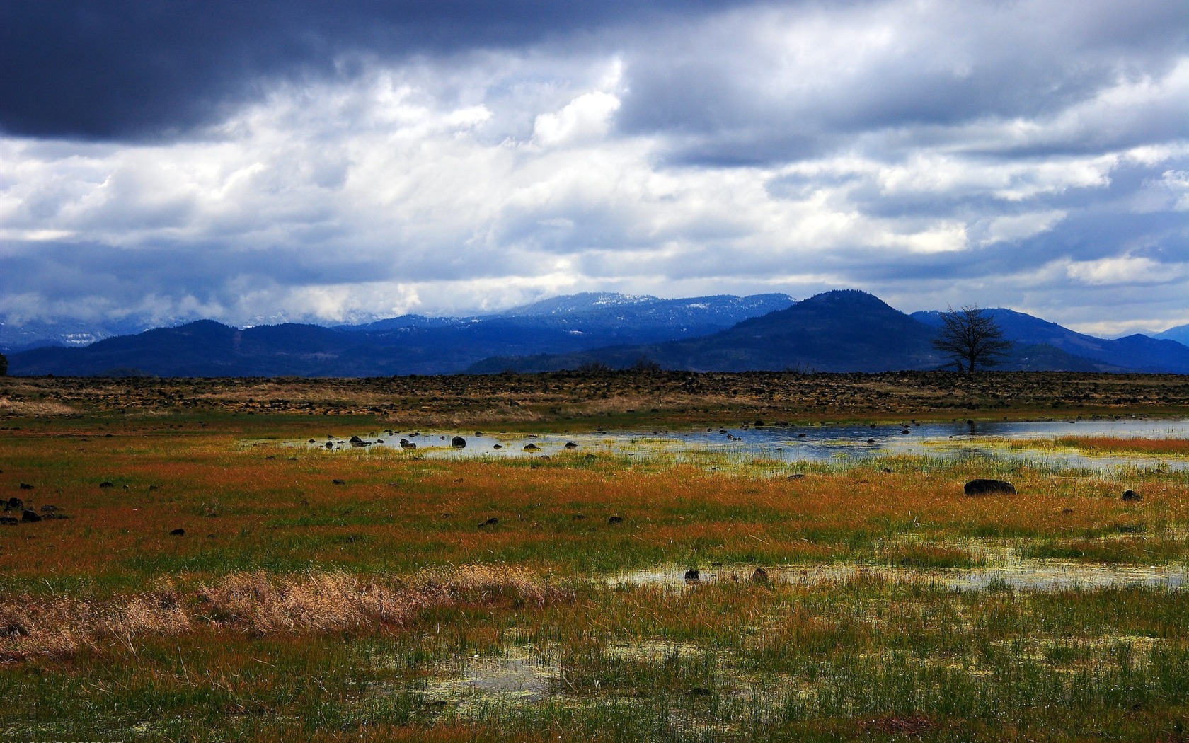 Featured Landschaft Tapeten Ersticken Schönheit #3 - 1680x1050