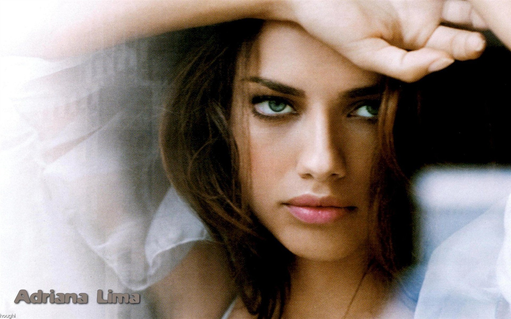 Adriana Lima beau fond d'écran #38 - 1680x1050