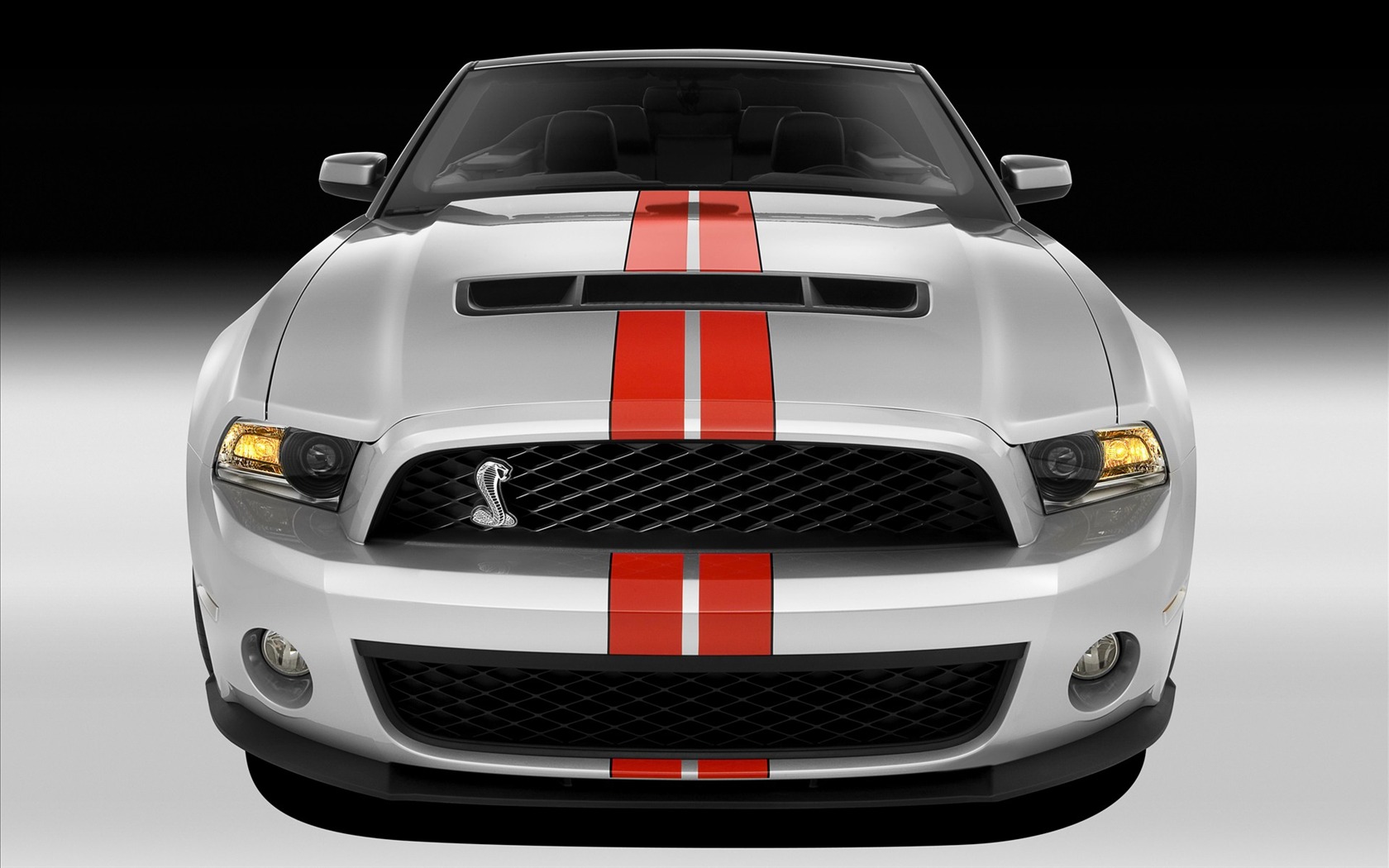 Ford Mustang GT500 Tapety #3 - 1680x1050