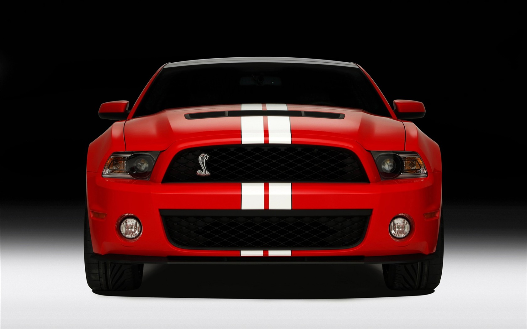 Ford Mustang GT500 Tapety #5 - 1680x1050