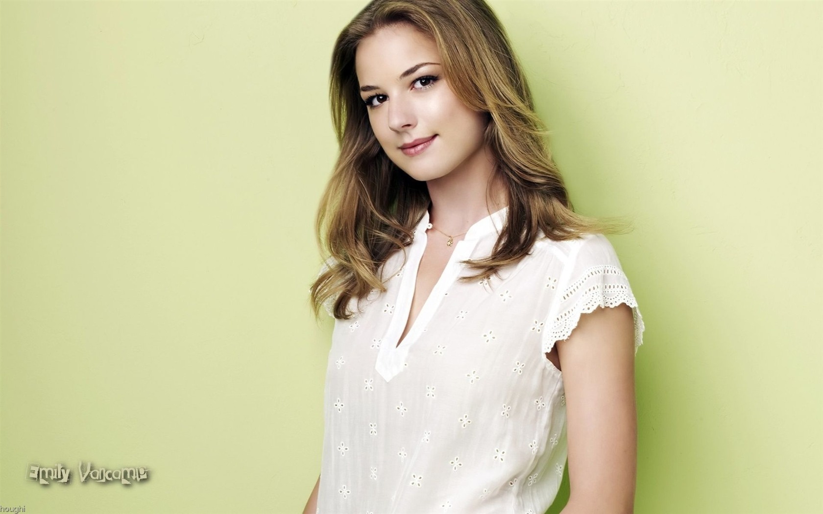 Emily VanCamp krásnou tapetu #4 - 1680x1050