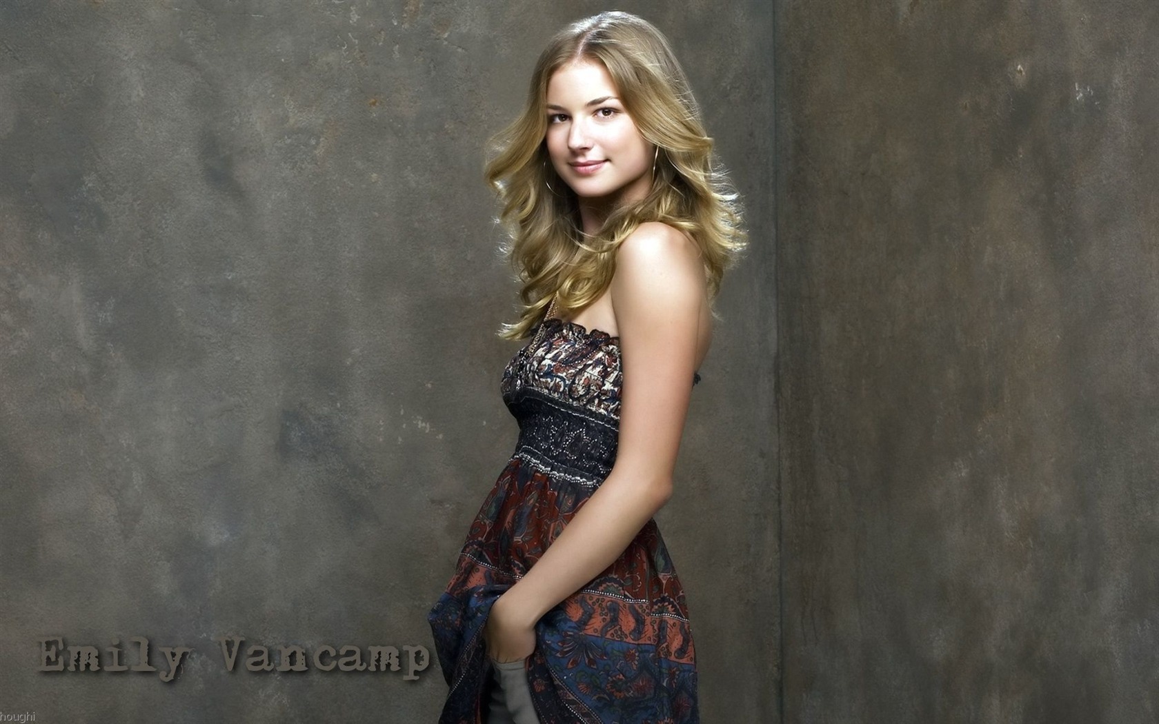 Emily VanCamp hermoso fondo de pantalla #7 - 1680x1050