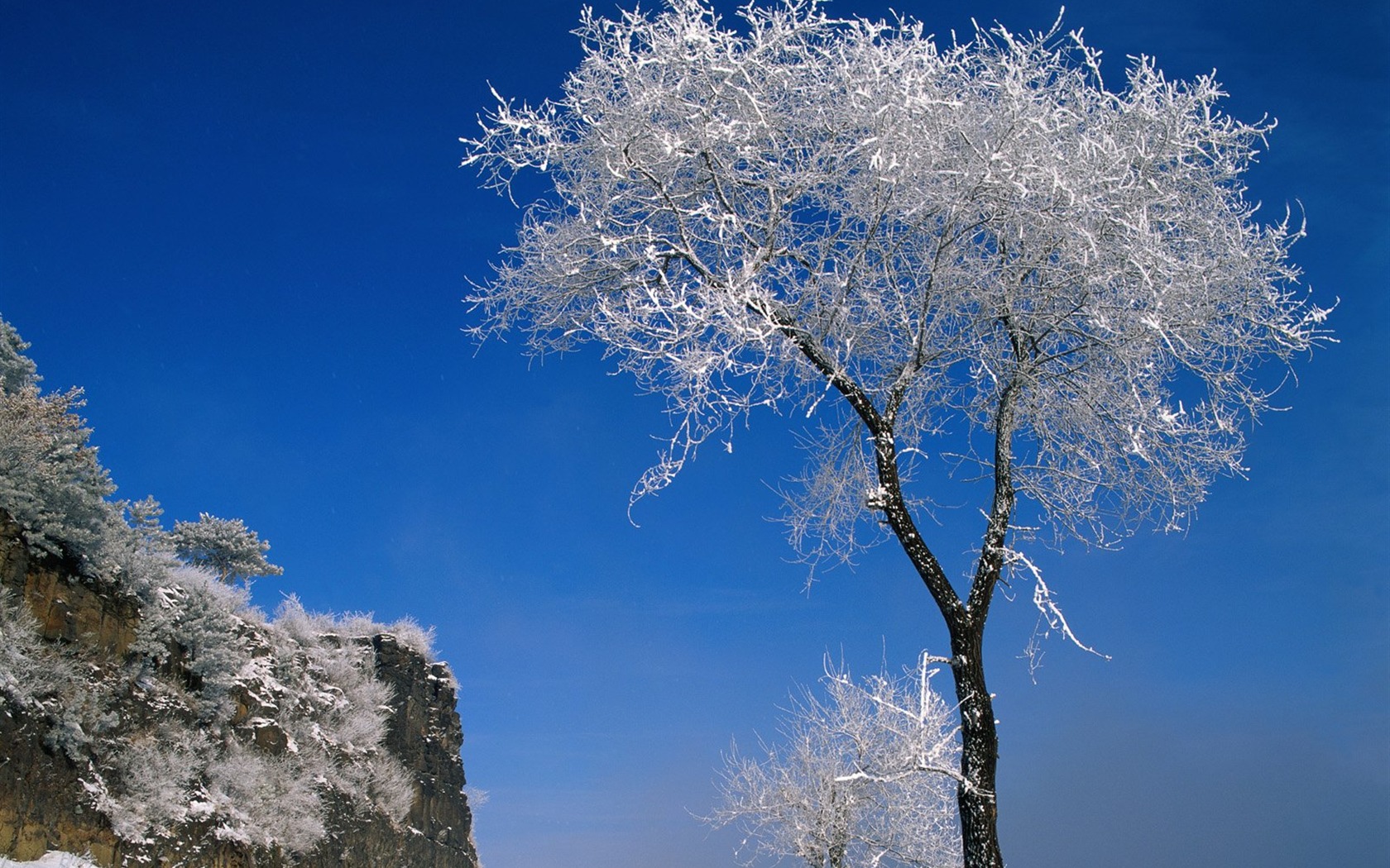 冬天雪景壁纸9 - 1680x1050