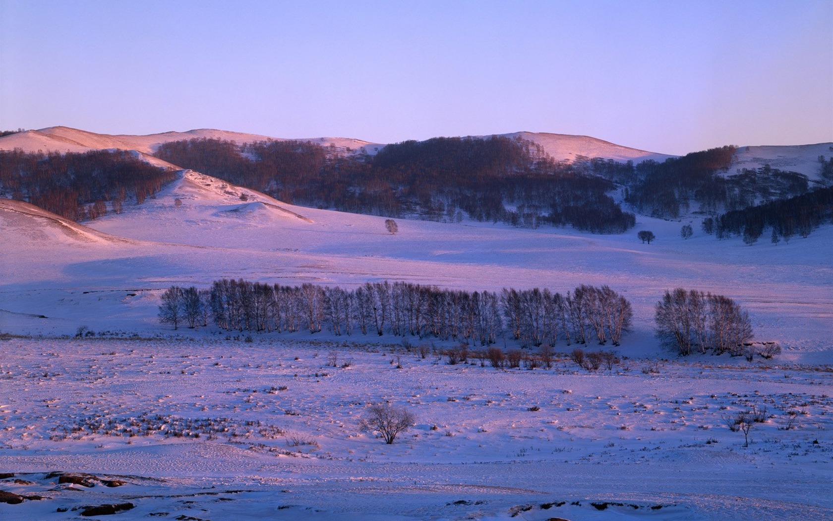 Hiver neige fond d'écran #34 - 1680x1050