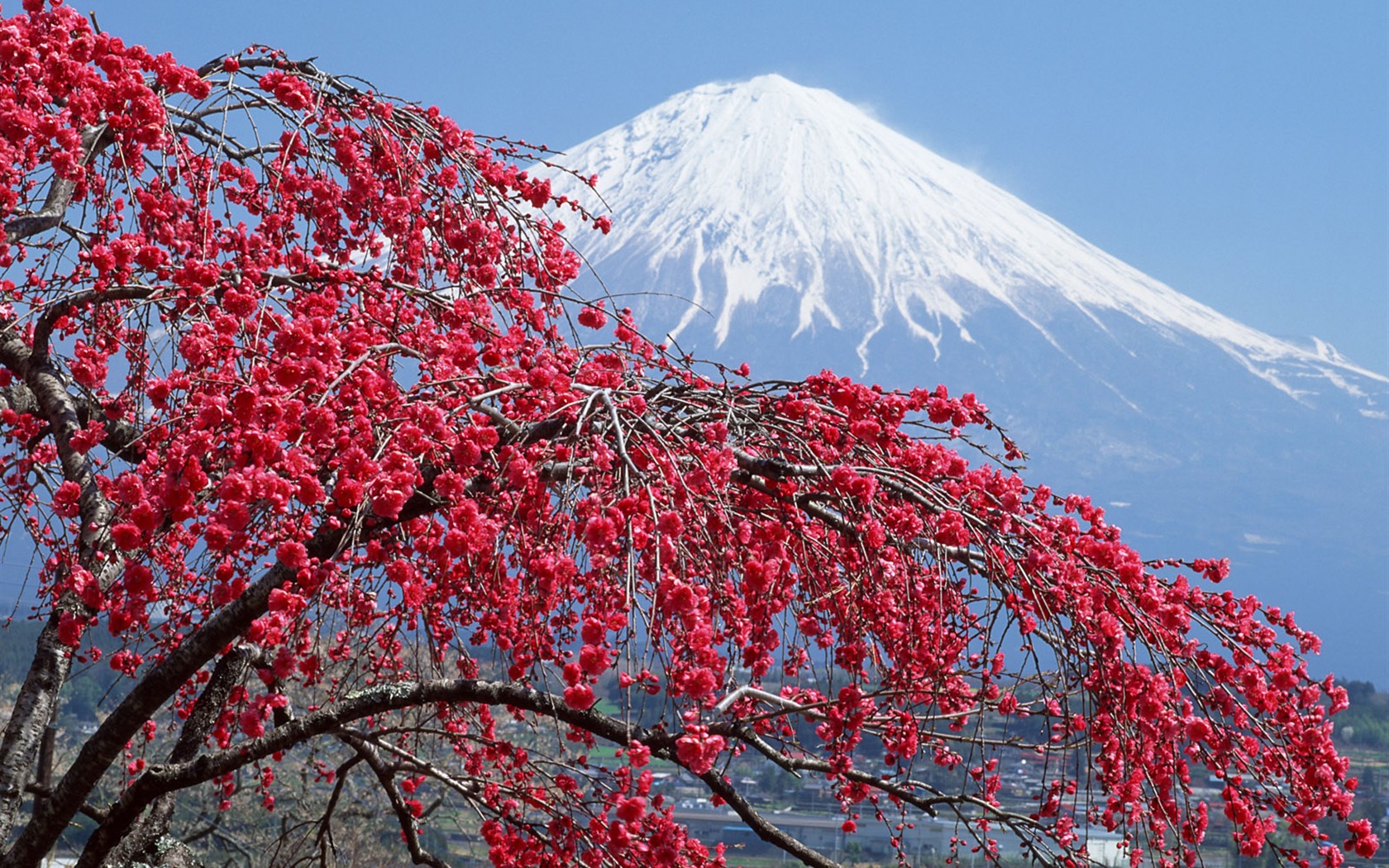 Mount Fuji, Japonsko tapety (1) #1 - 1680x1050
