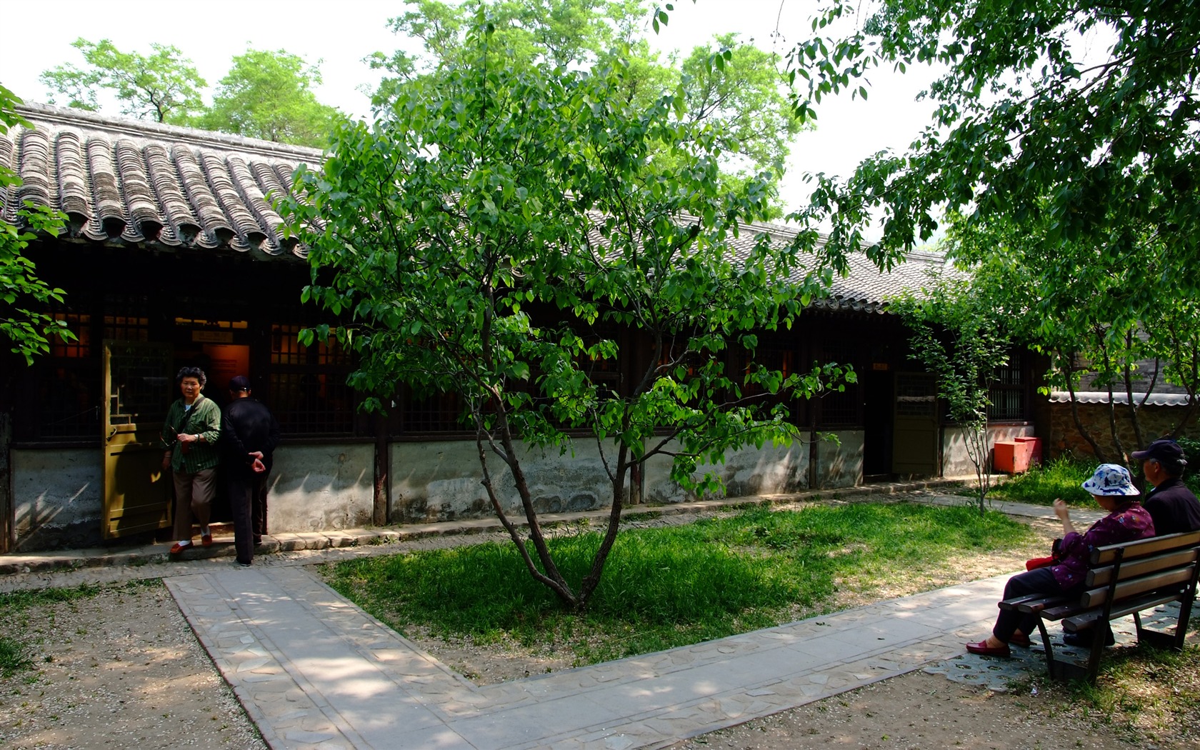 初夏的香山植物园 (螺纹钢作品)18 - 1680x1050