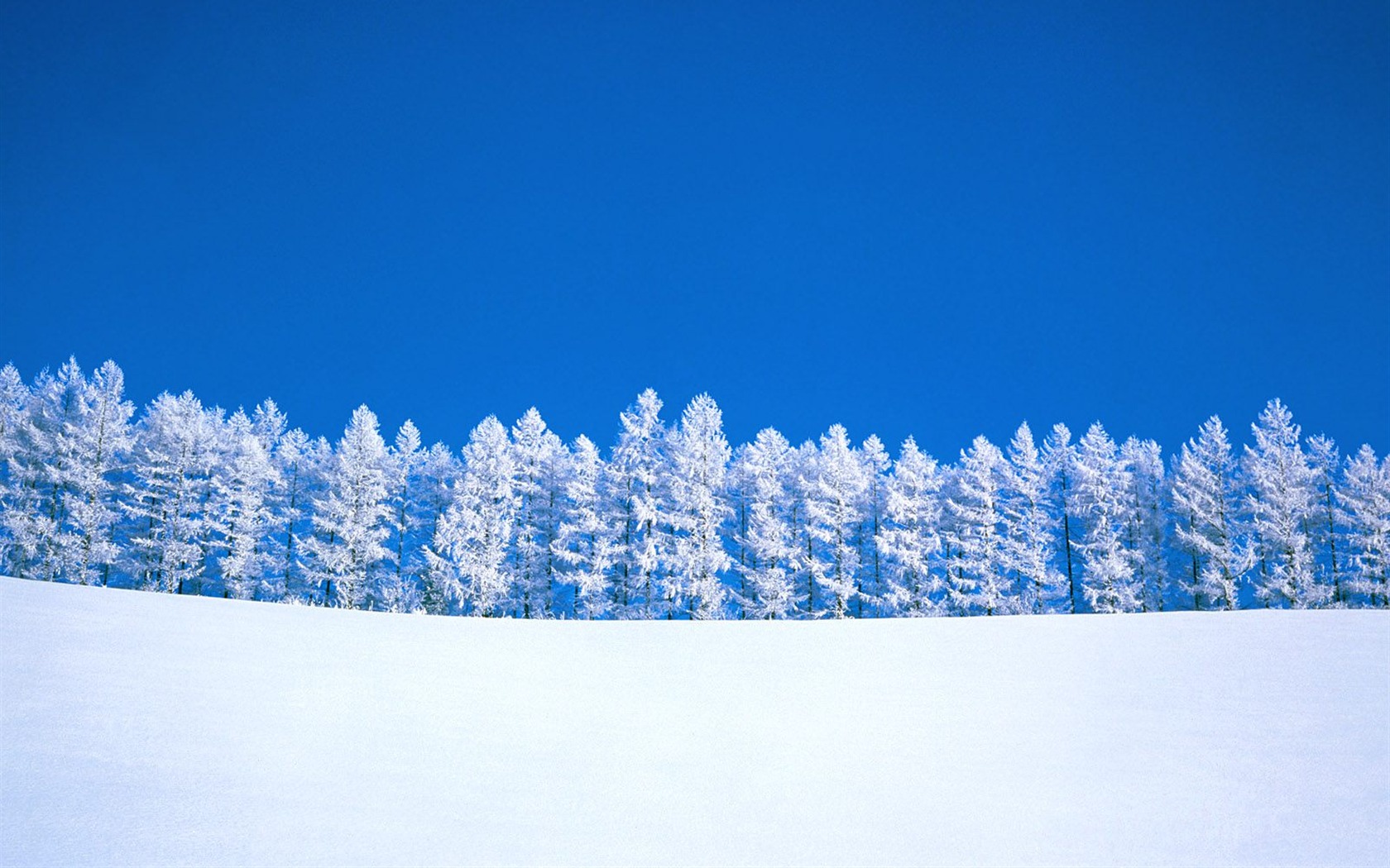 Invierno Nieve fondo de pantalla (3) #8 - 1680x1050