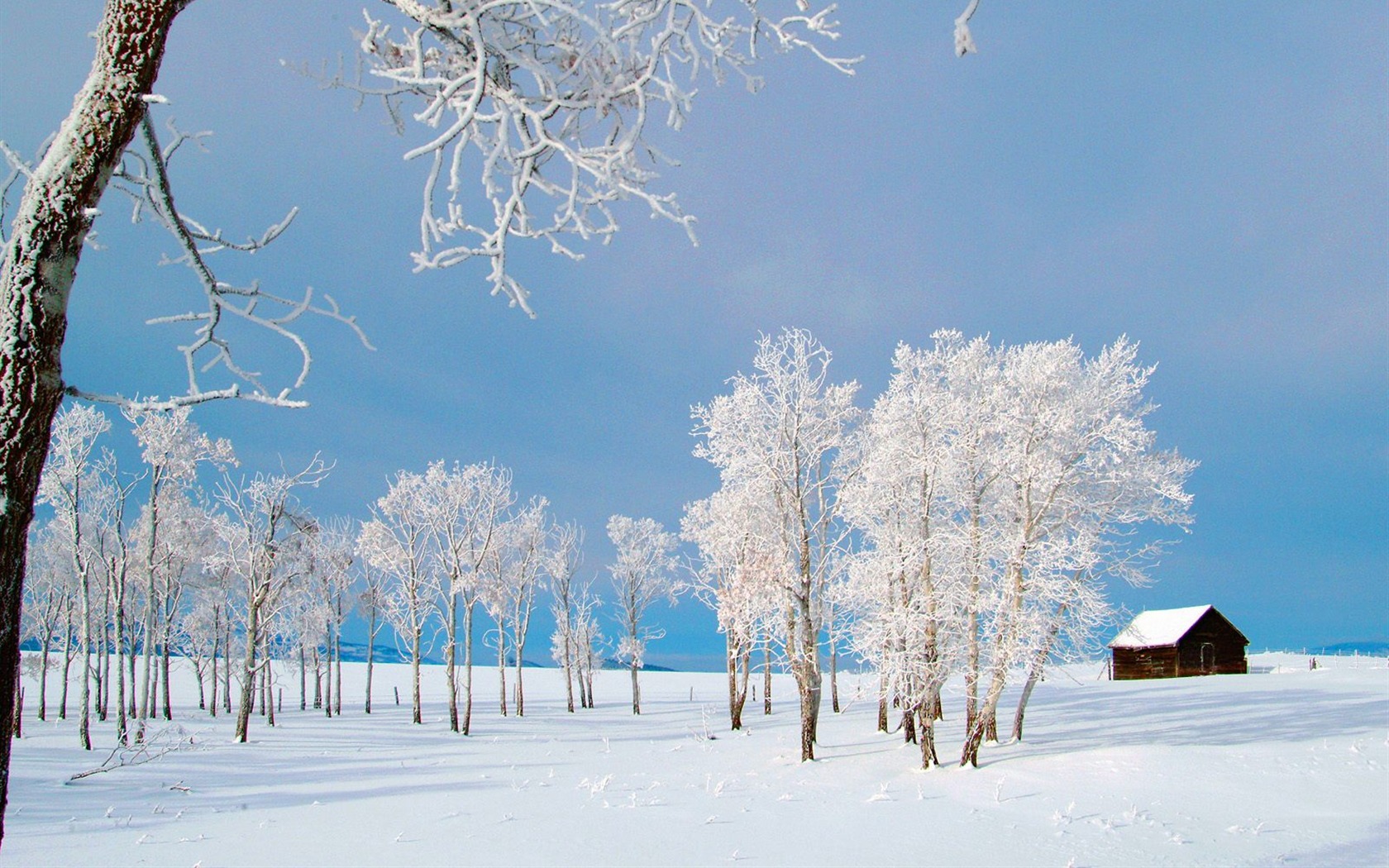 Hiver neige fond d'écran (3) #10 - 1680x1050