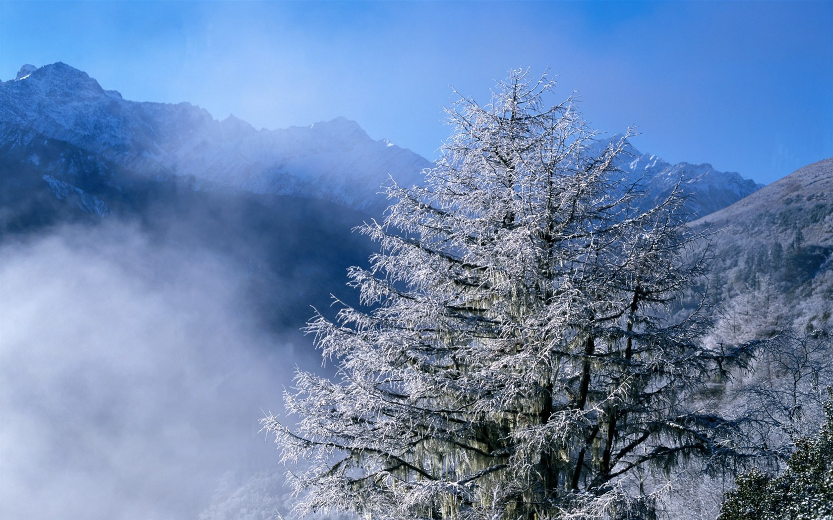 雪山雪景合集 壁纸(一)17 - 1680x1050