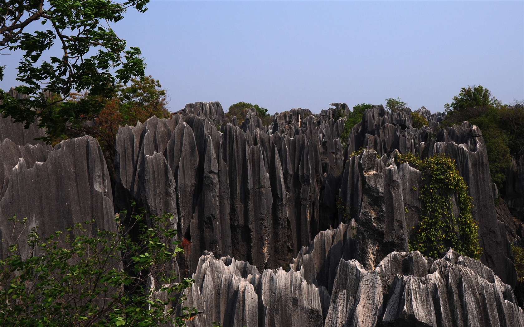 Stone Forest in Yunnan line (1) (Khitan wolf works) #19 - 1680x1050