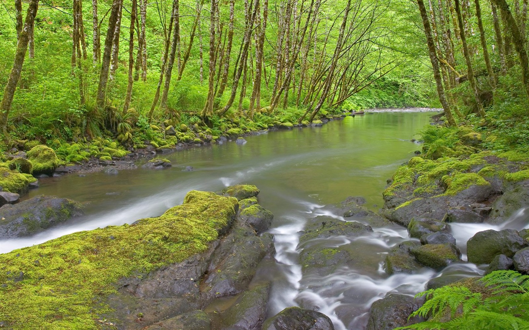 Waterfall-Streams Wallpaper (9) #12 - 1680x1050