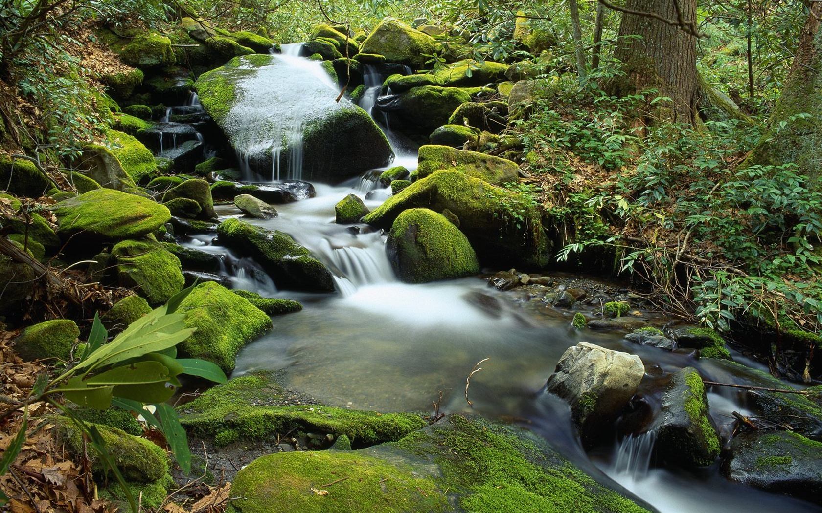 Waterfall-Streams Wallpaper (9) #20 - 1680x1050