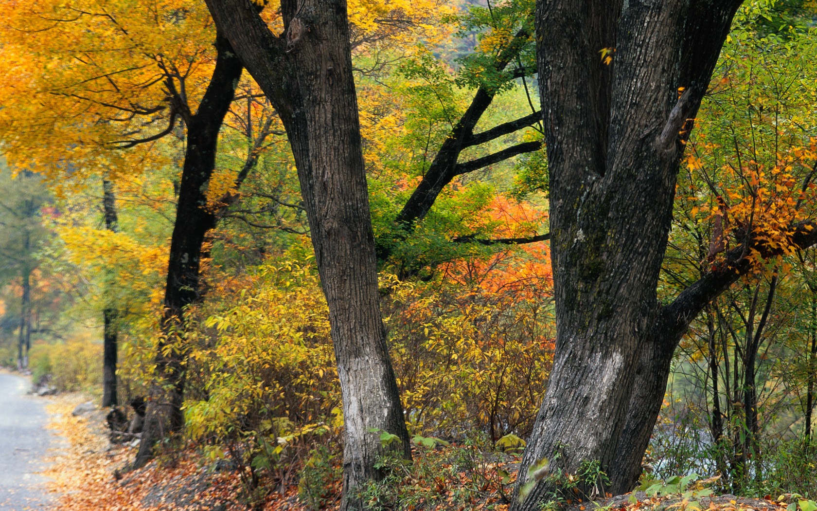 photographie de paysage (10) (Li travaille Shanquan) #18 - 1680x1050