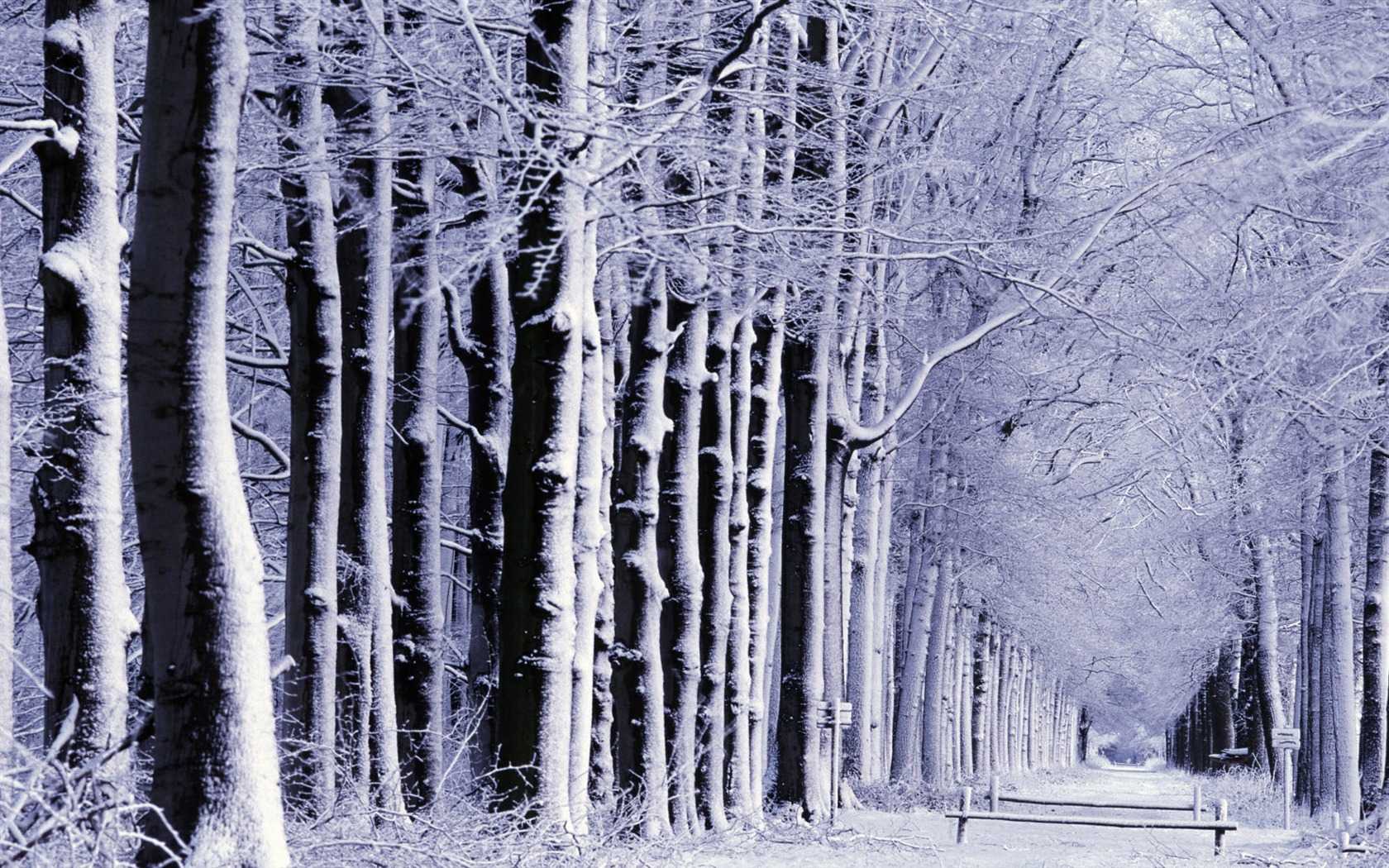 Fond d'écran panoramique de neige (1) #18 - 1680x1050