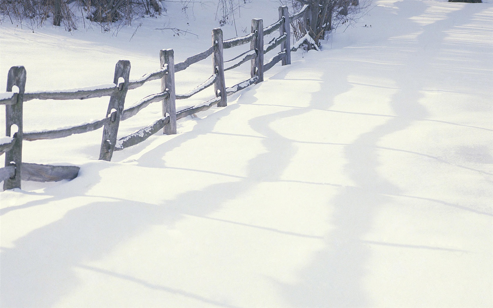 눈의 와이드 벽지 (2) #8 - 1680x1050