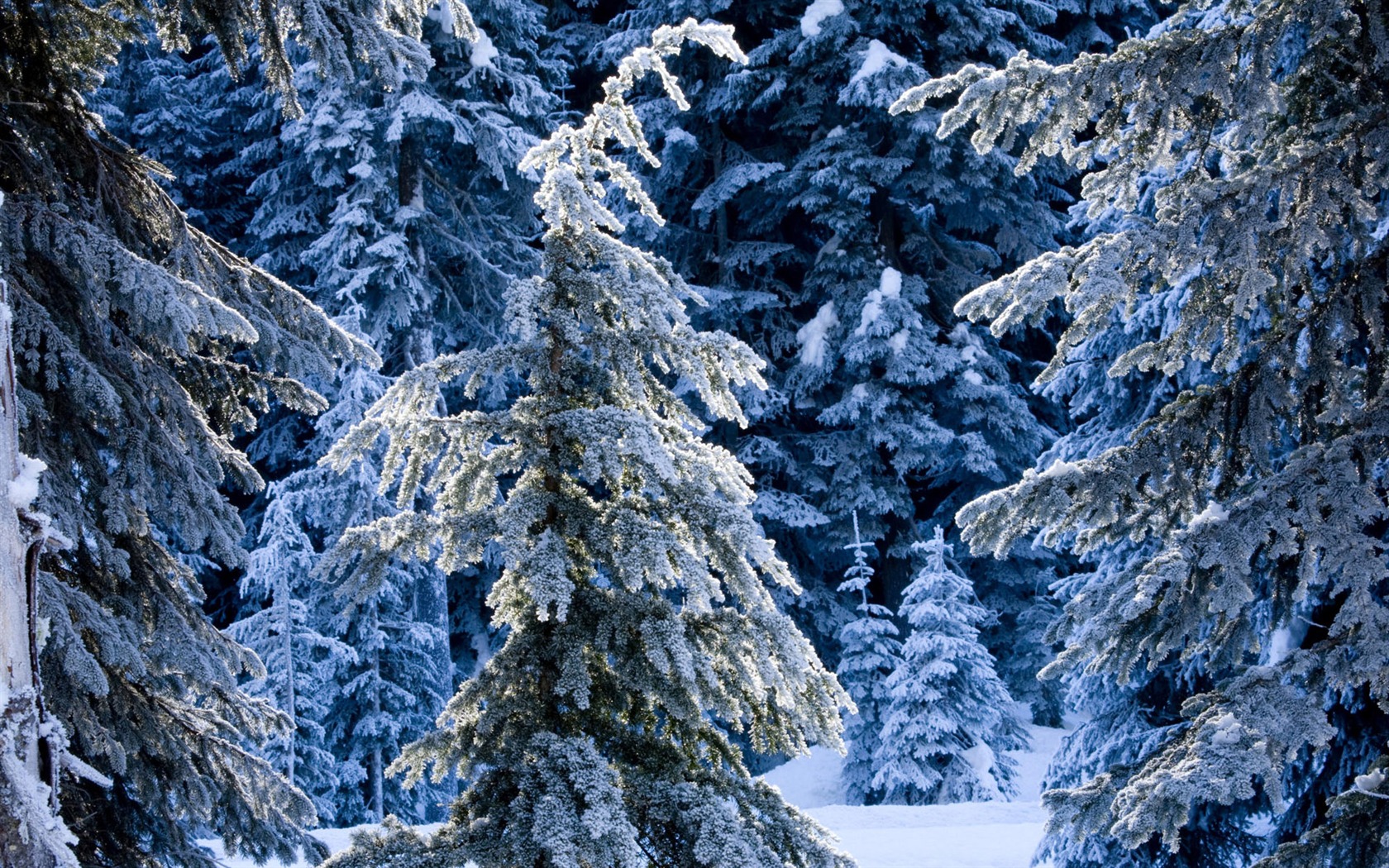 Fond d'écran panoramique de neige (2) #16 - 1680x1050
