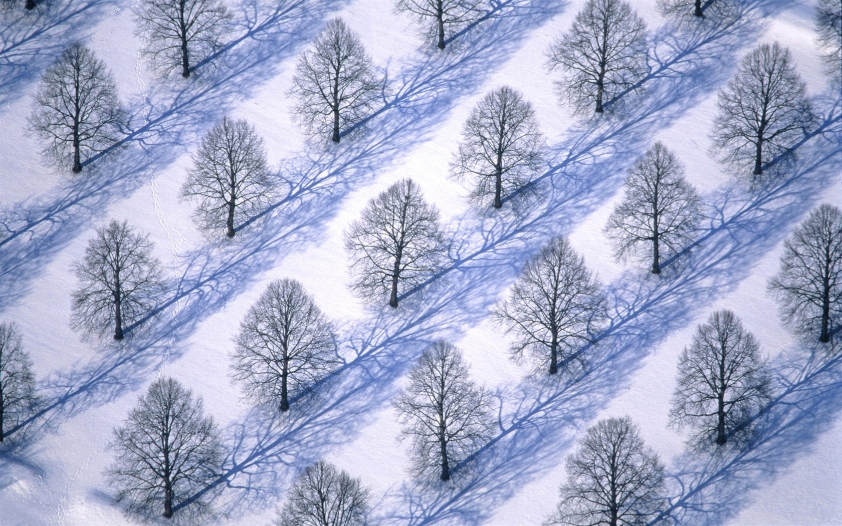 Fond d'écran panoramique de neige (2) #17 - 1680x1050