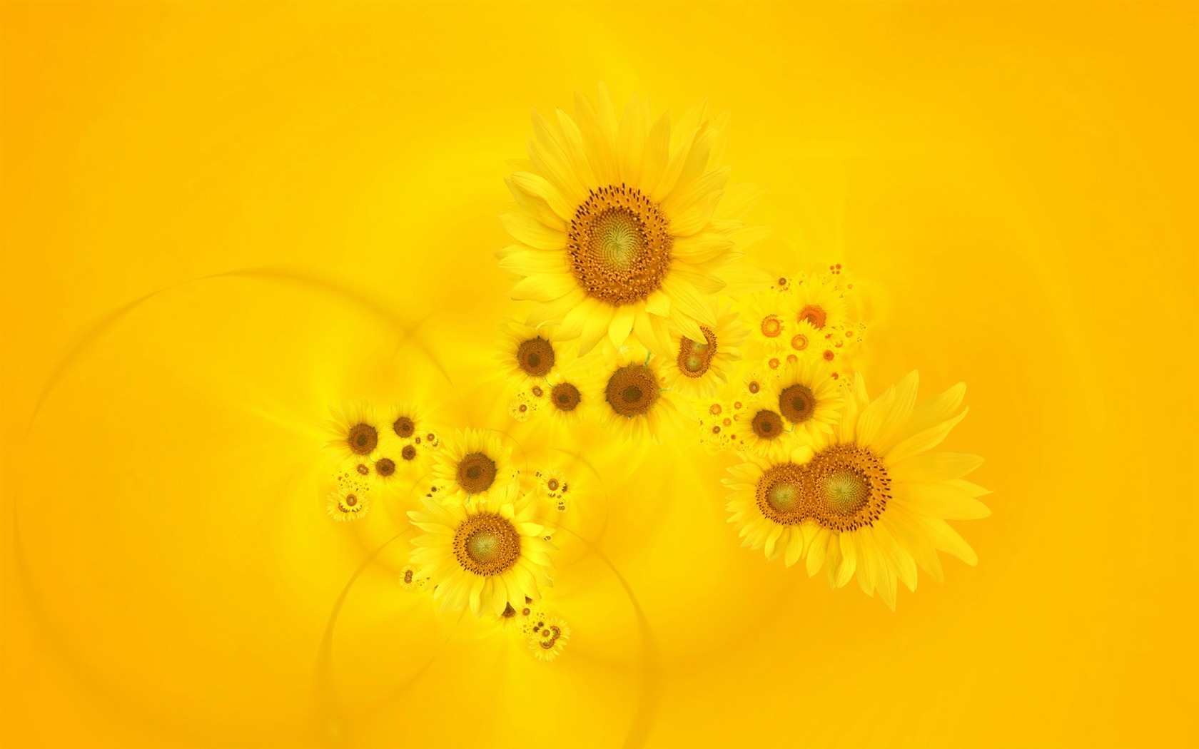 Beautiful sunflower close-up wallpaper (2) #5 - 1680x1050