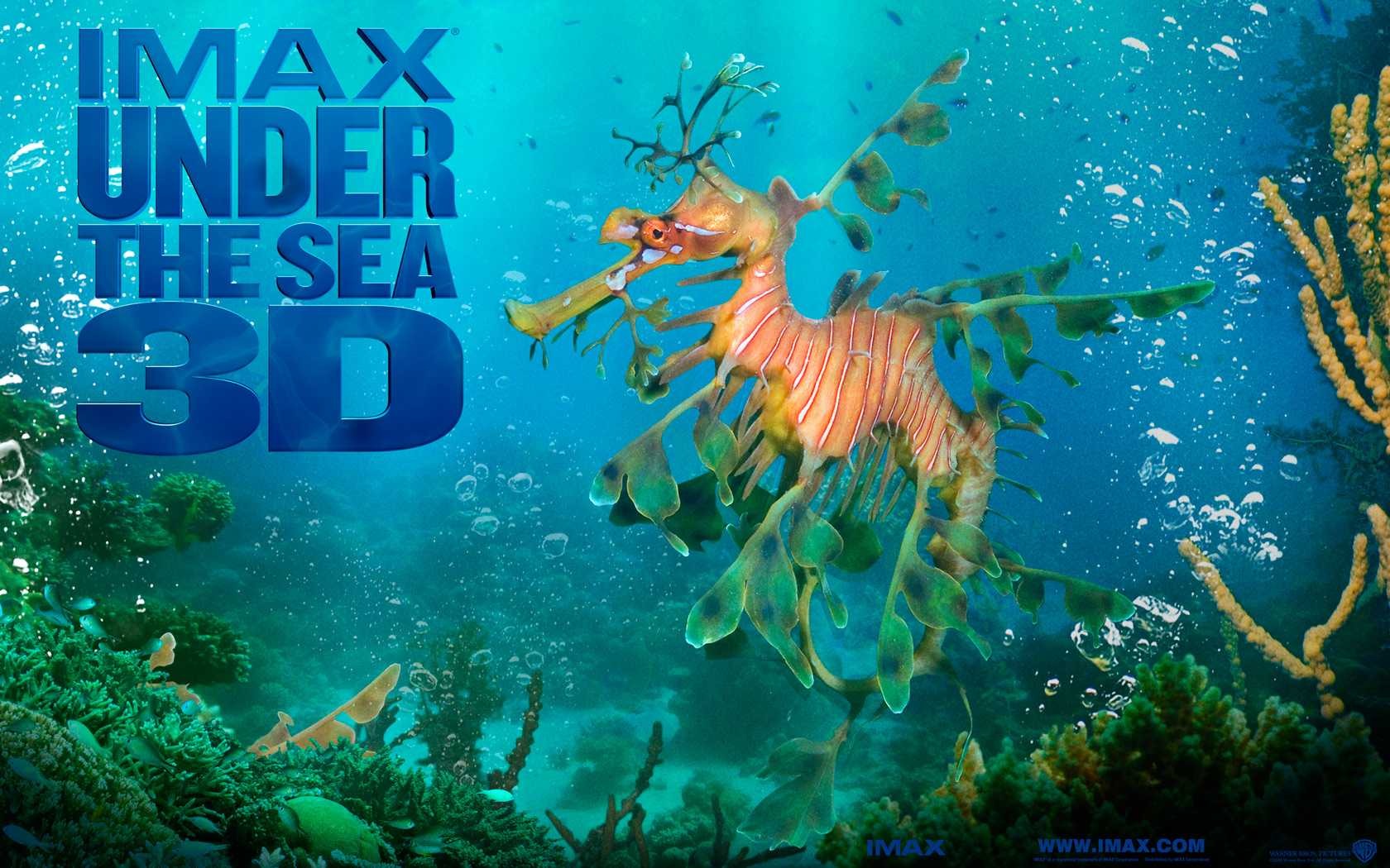Under the Sea 3D 海底世界3D 高清壁纸50 - 1680x1050