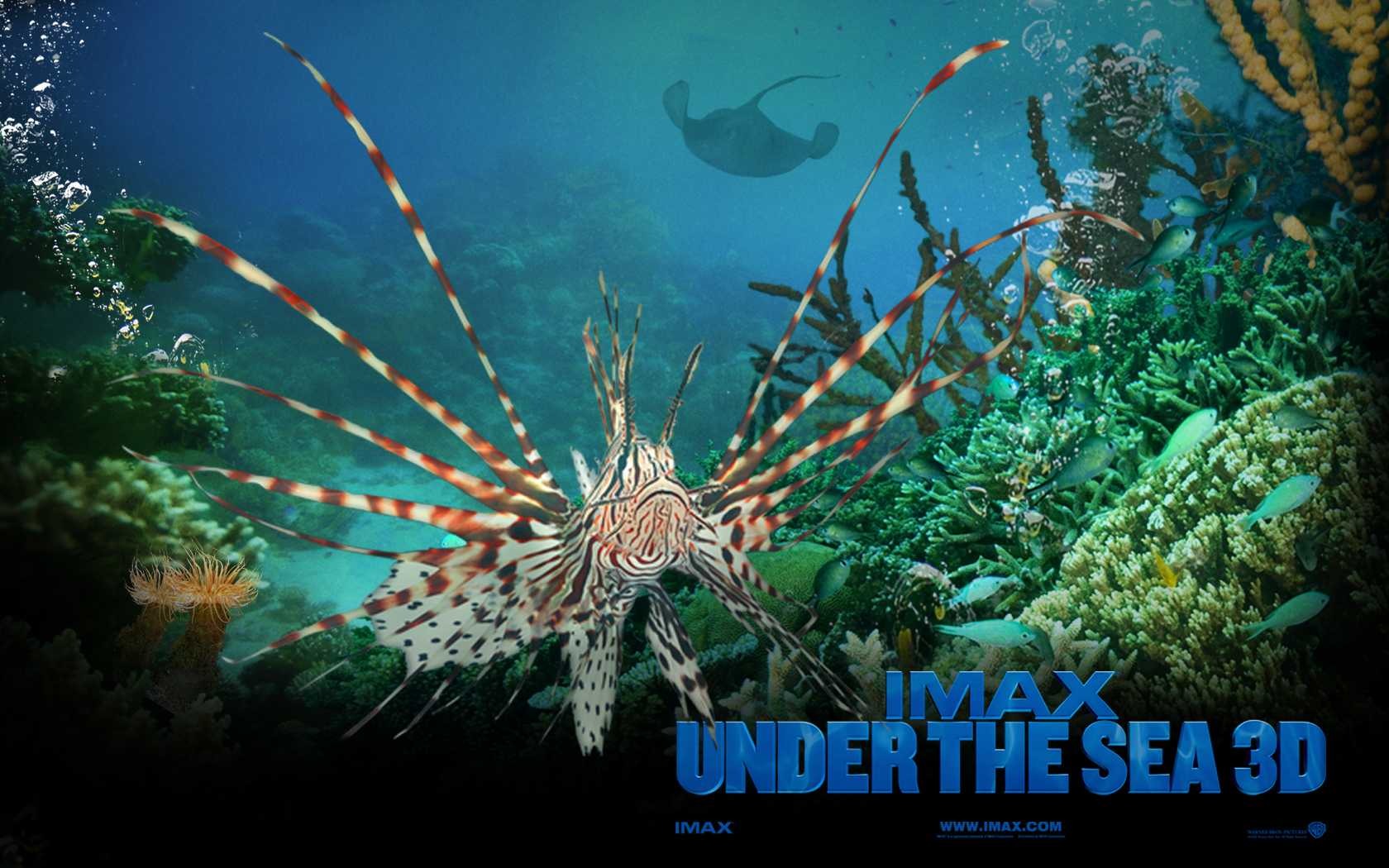 Under the Sea 3D 海底世界3D 高清壁纸1 - 1680x1050