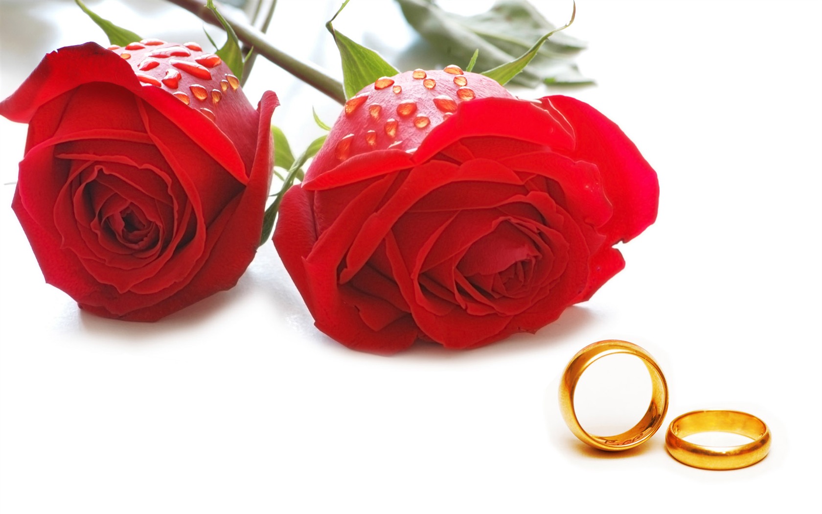 Свадьбы и свадебные кольца обои (1) #12 - 1680x1050